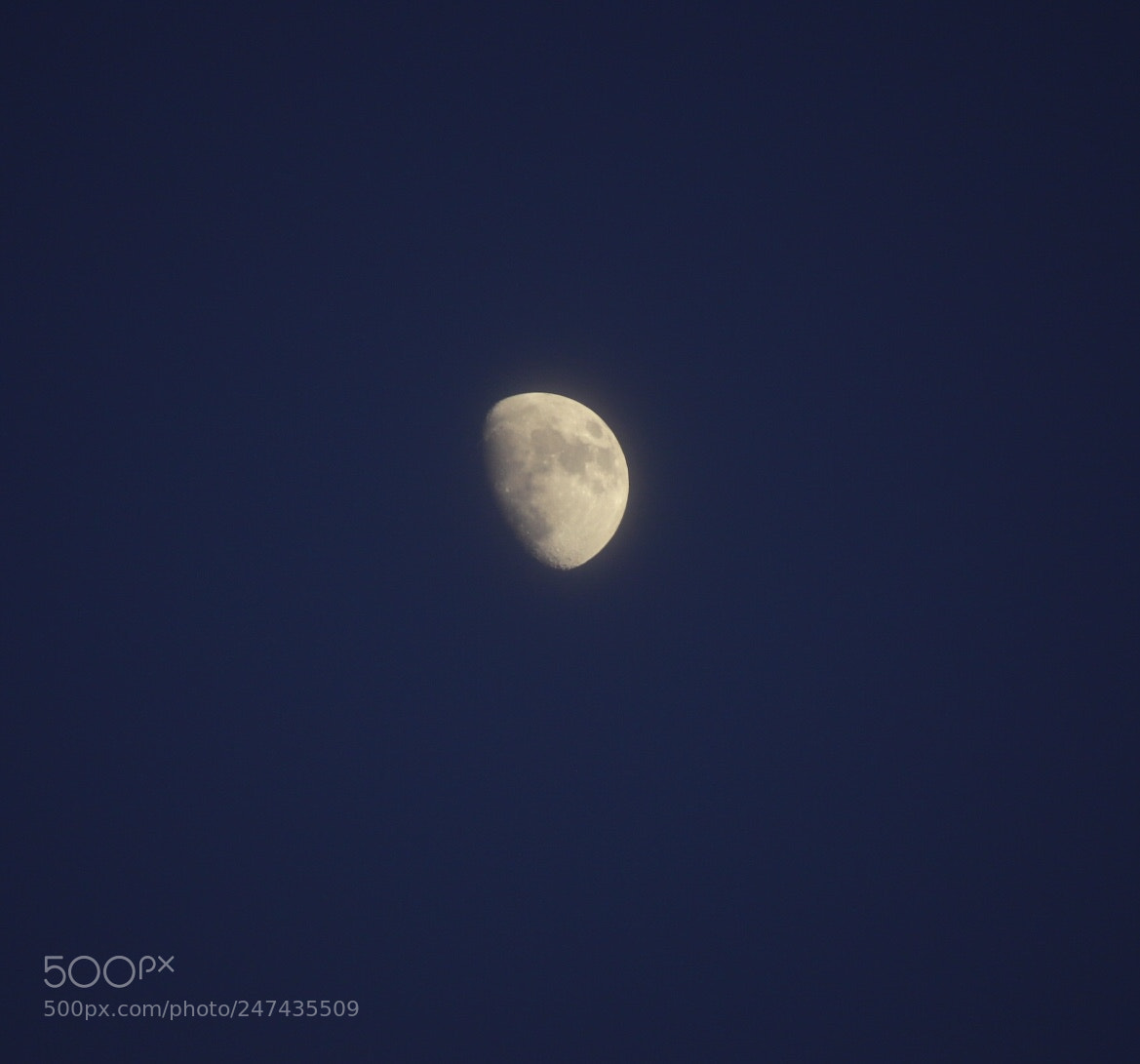 Canon EOS 6D Mark II sample photo. Untitled photography