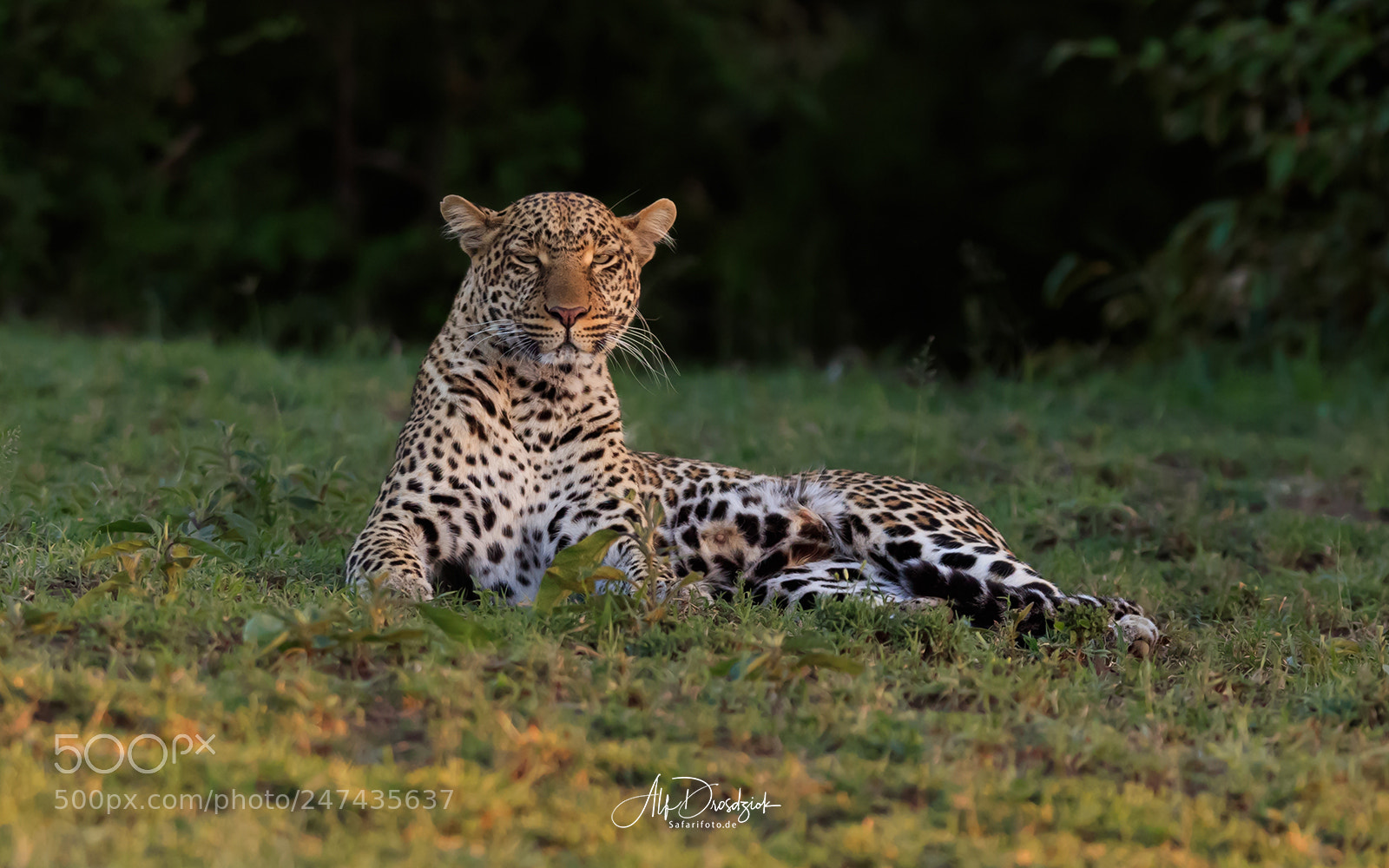 Canon EOS 5DS R sample photo. I can still catch photography