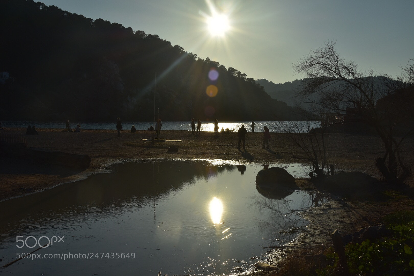 Nikon D7200 sample photo. Untitled photography