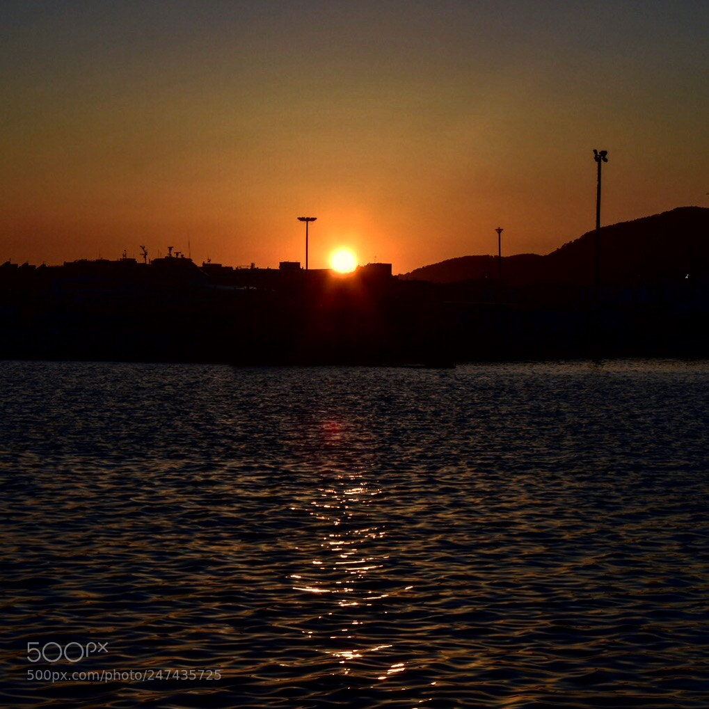 Nikon D7200 sample photo. Untitled photography