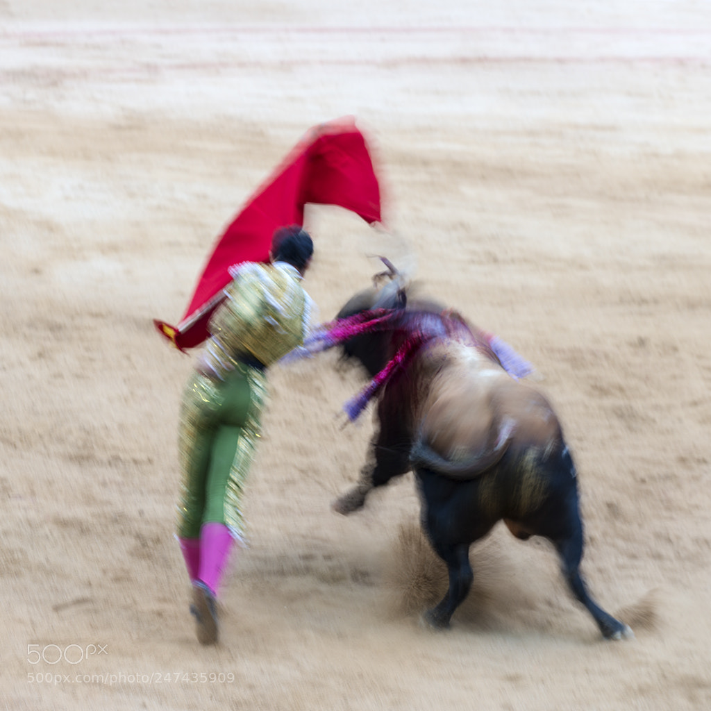 Nikon D800 sample photo. Lucha a muerte photography