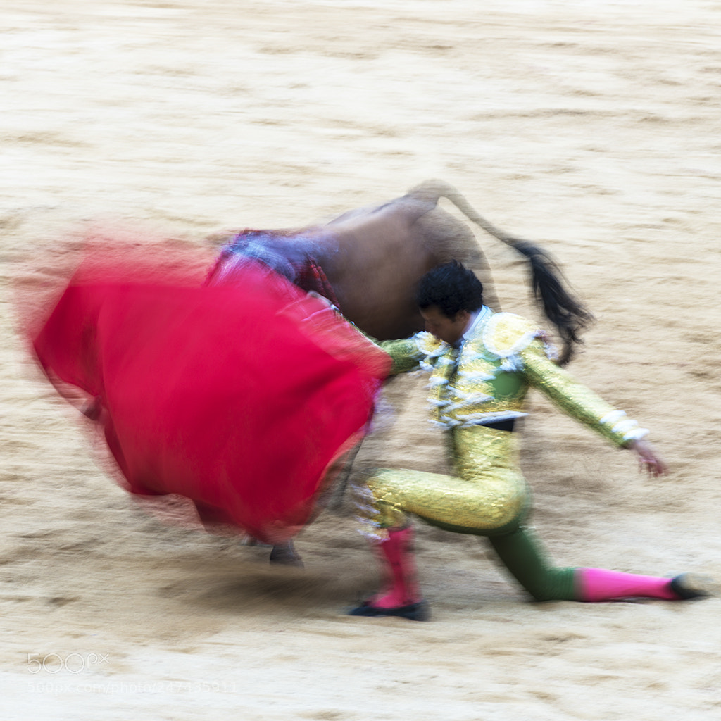 Nikon D800 sample photo. Lucha a muerte photography