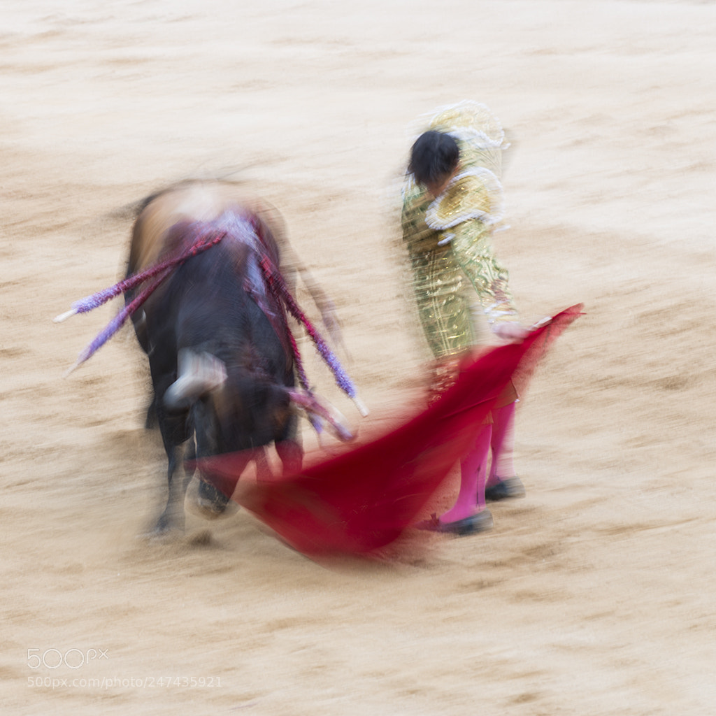 Nikon D800 sample photo. Lucha a muerte photography
