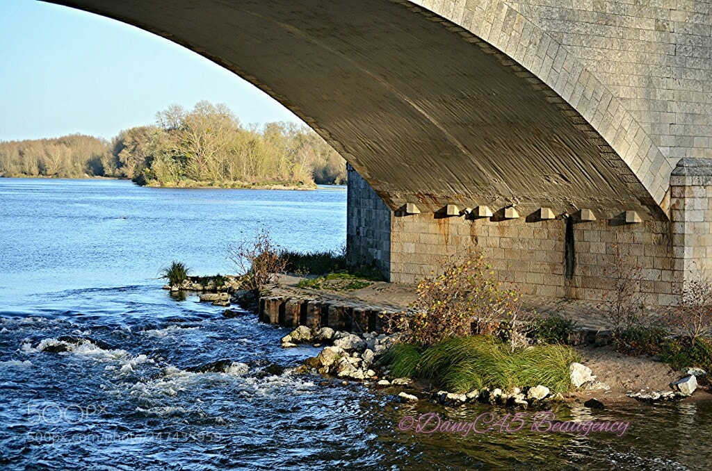 Nikon D5100 sample photo. Bridge photography