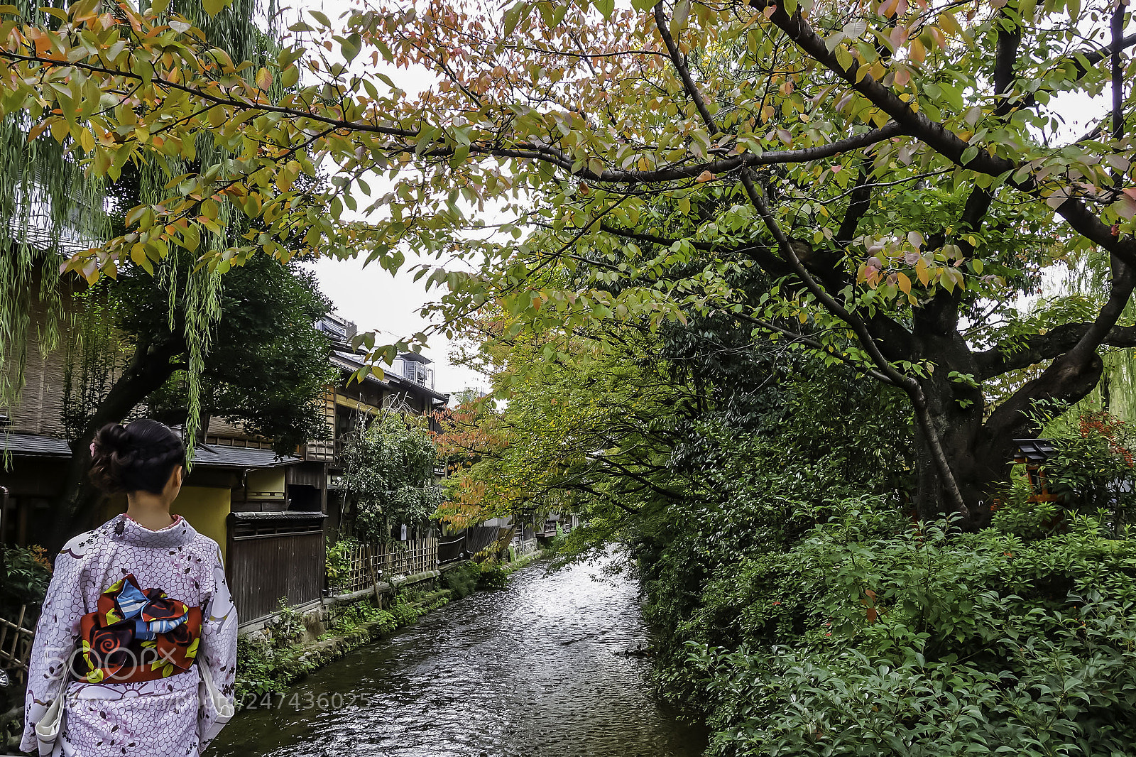 Sony Cyber-shot DSC-RX100 sample photo. Kimono photography