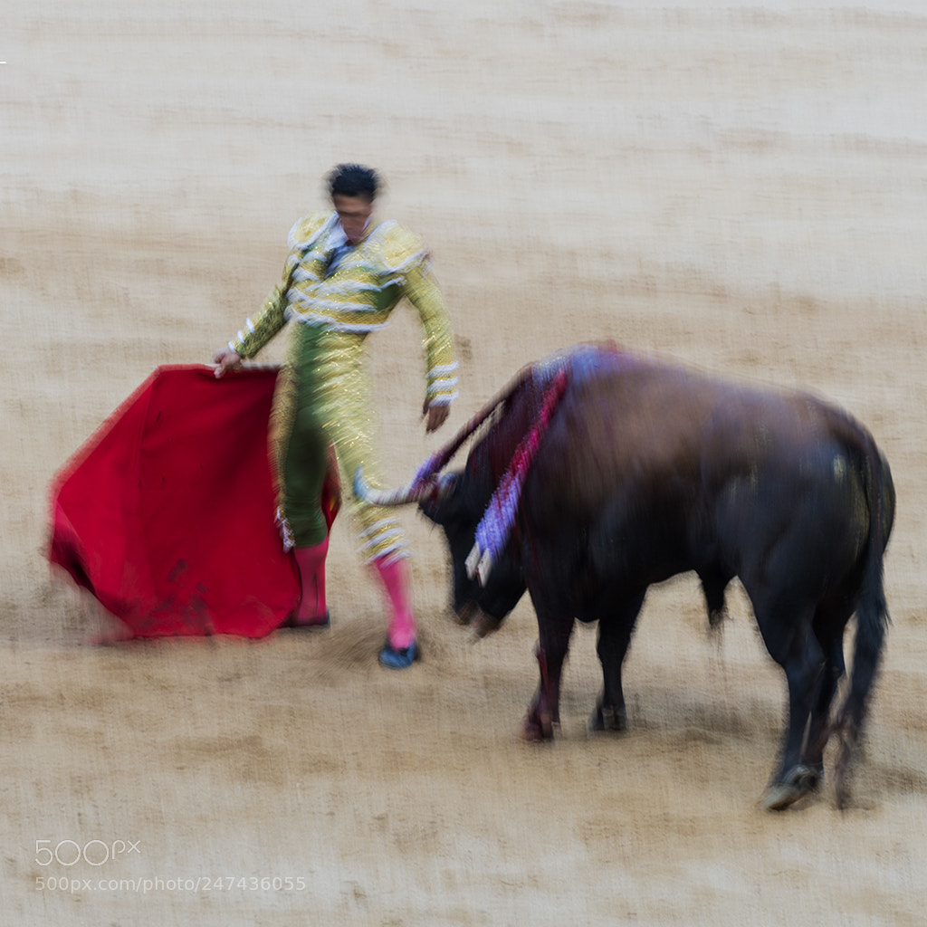 Nikon D800 sample photo. Lucha a muerte photography