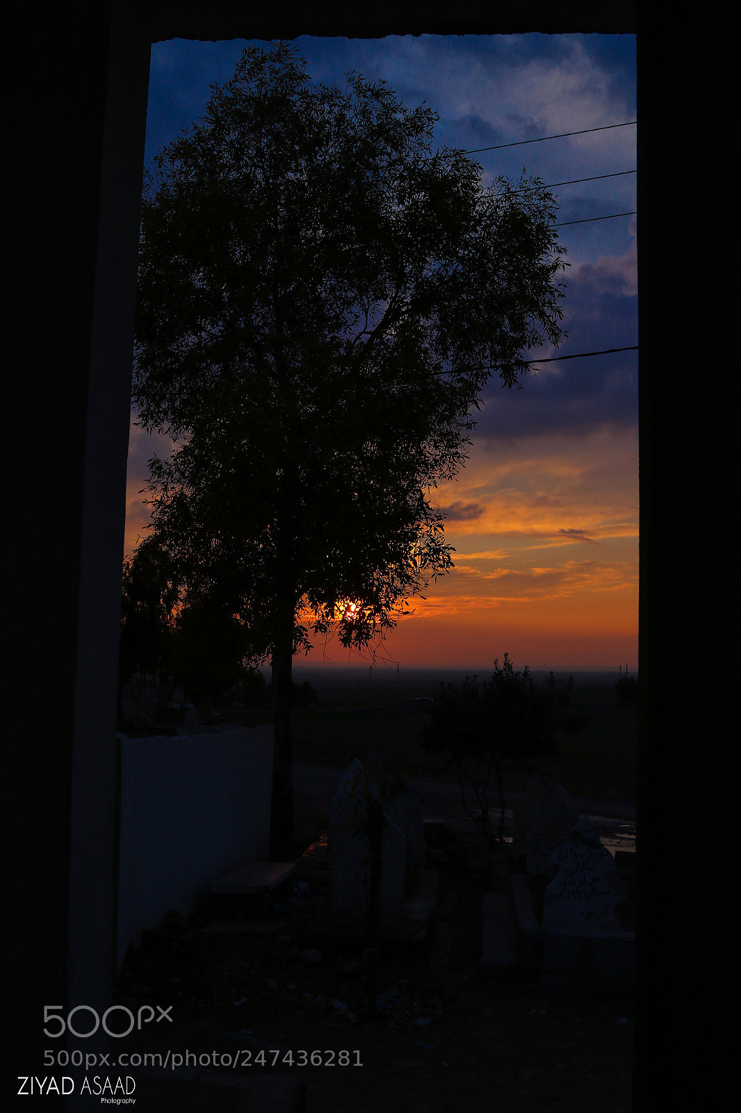 Canon EOS 7D Mark II sample photo. Untitled photography
