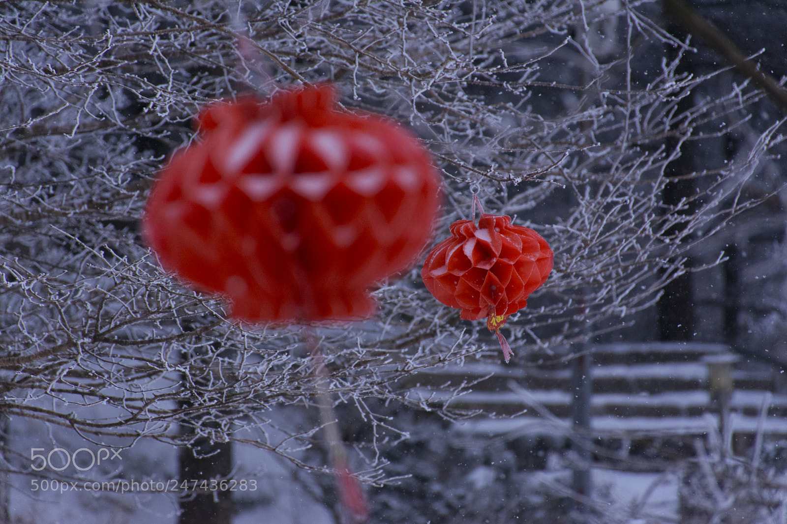 Nikon D7100 sample photo. _dsc2966-10.jpg photography