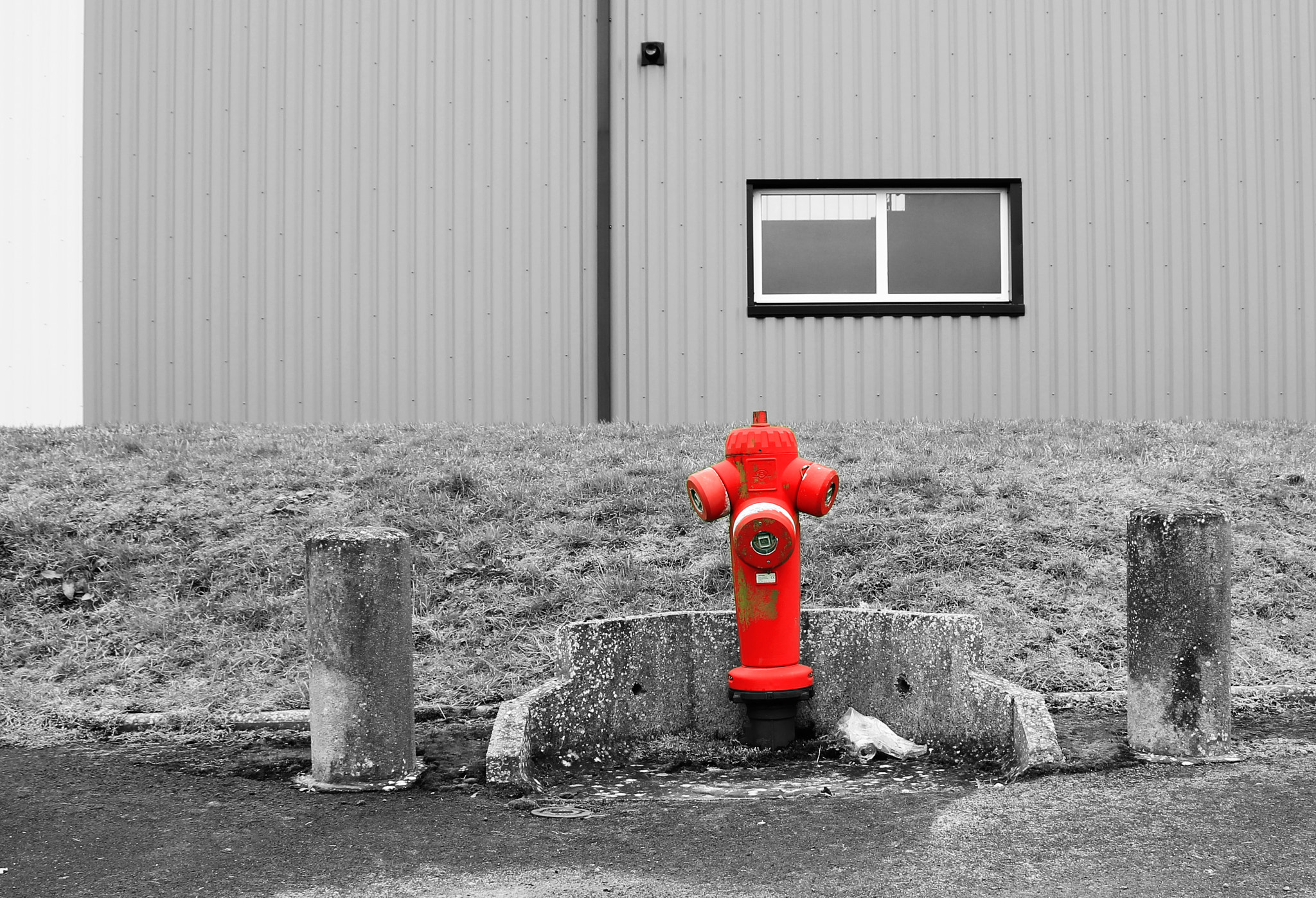 Canon EOS 550D (EOS Rebel T2i / EOS Kiss X4) + Canon EF-S 18-135mm F3.5-5.6 IS STM sample photo. Hydrant photography