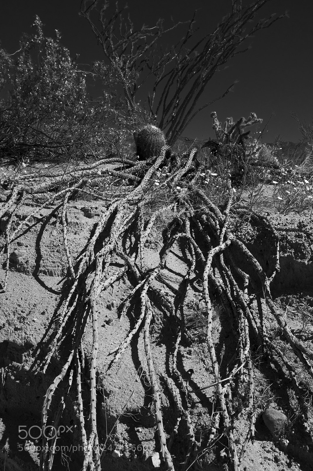 Fujifilm X100T sample photo. Strange desert photography