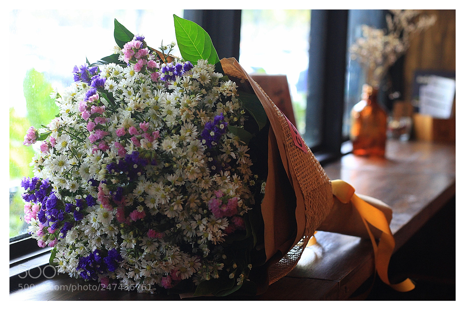 Canon EOS 700D (EOS Rebel T5i / EOS Kiss X7i) sample photo. Snapseed photography
