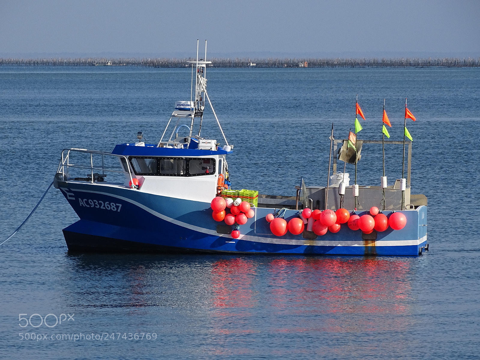 Sony Cyber-shot DSC-HX400V sample photo. Dsc photography
