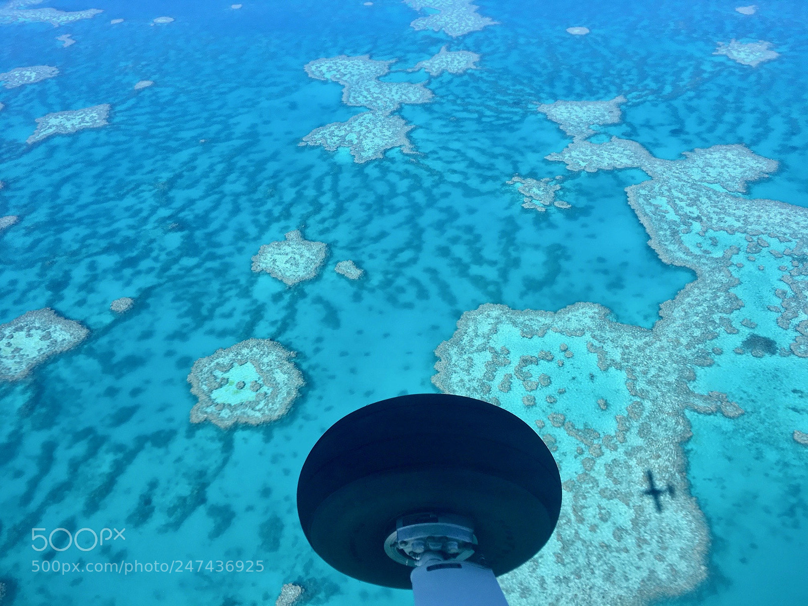 Apple iPhone 6s sample photo. Great barrier reef from photography