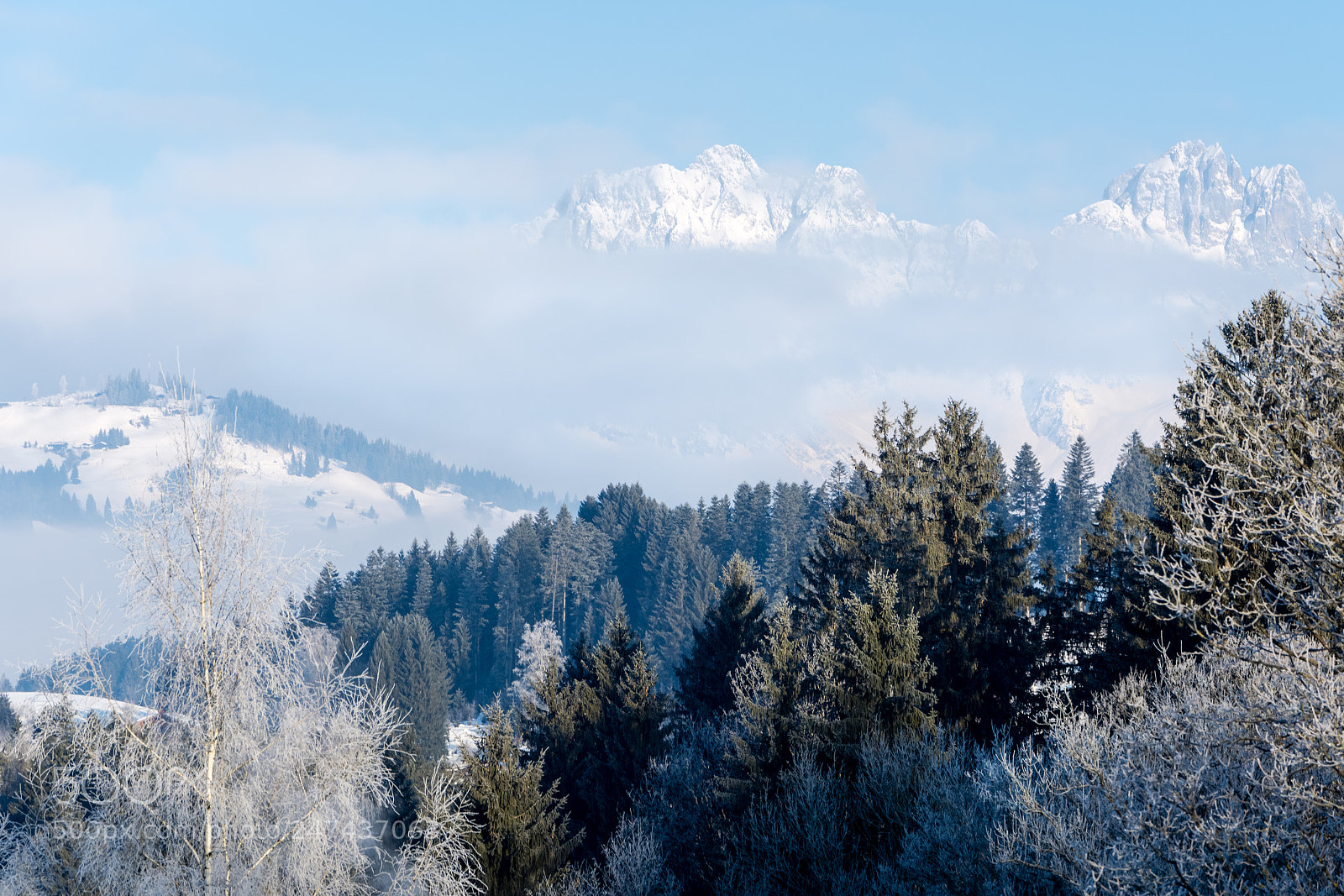 Nikon D5200 sample photo. Good morning! photography