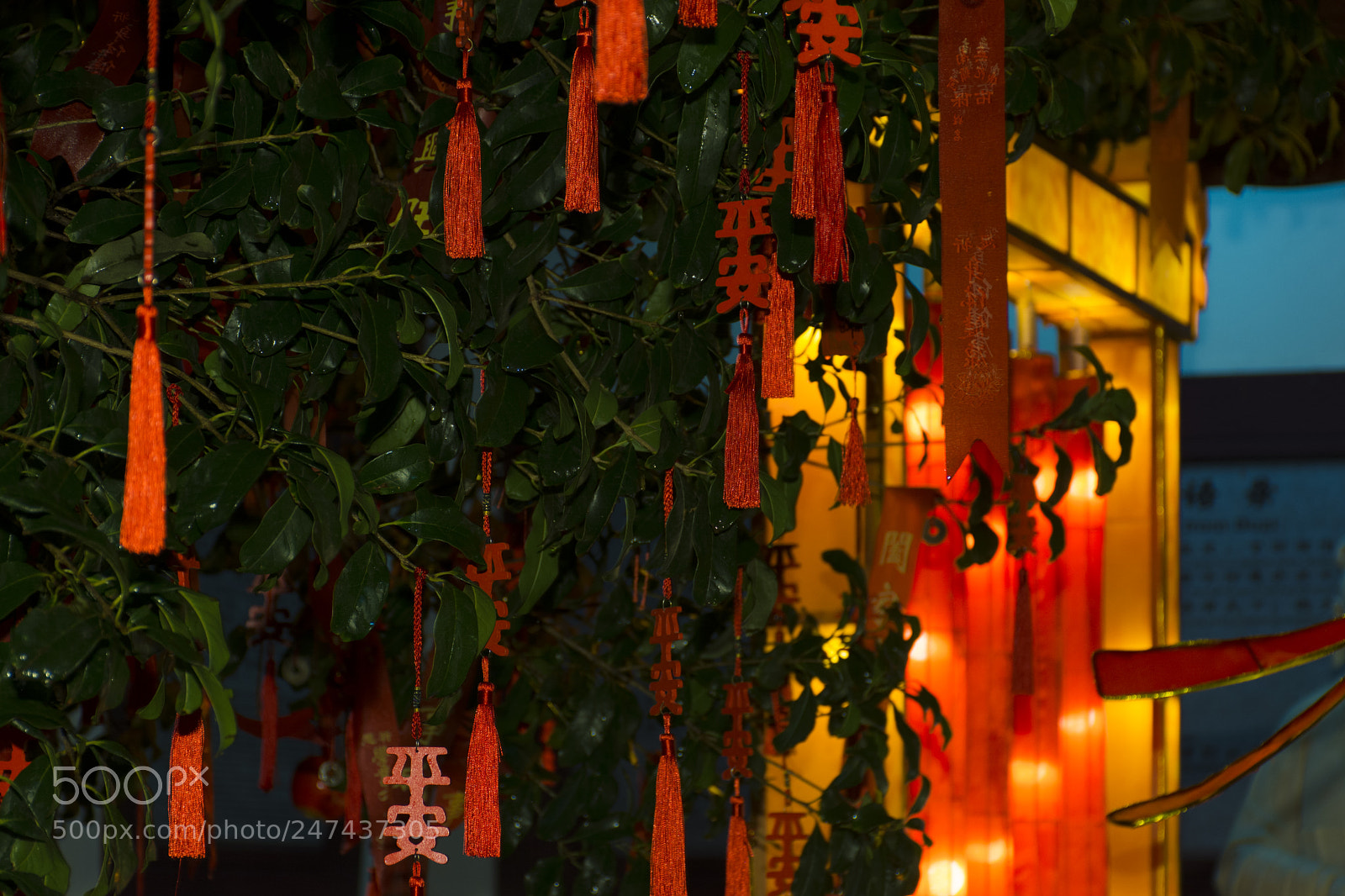 Nikon D7100 sample photo. _dsc4046-30.jpg photography
