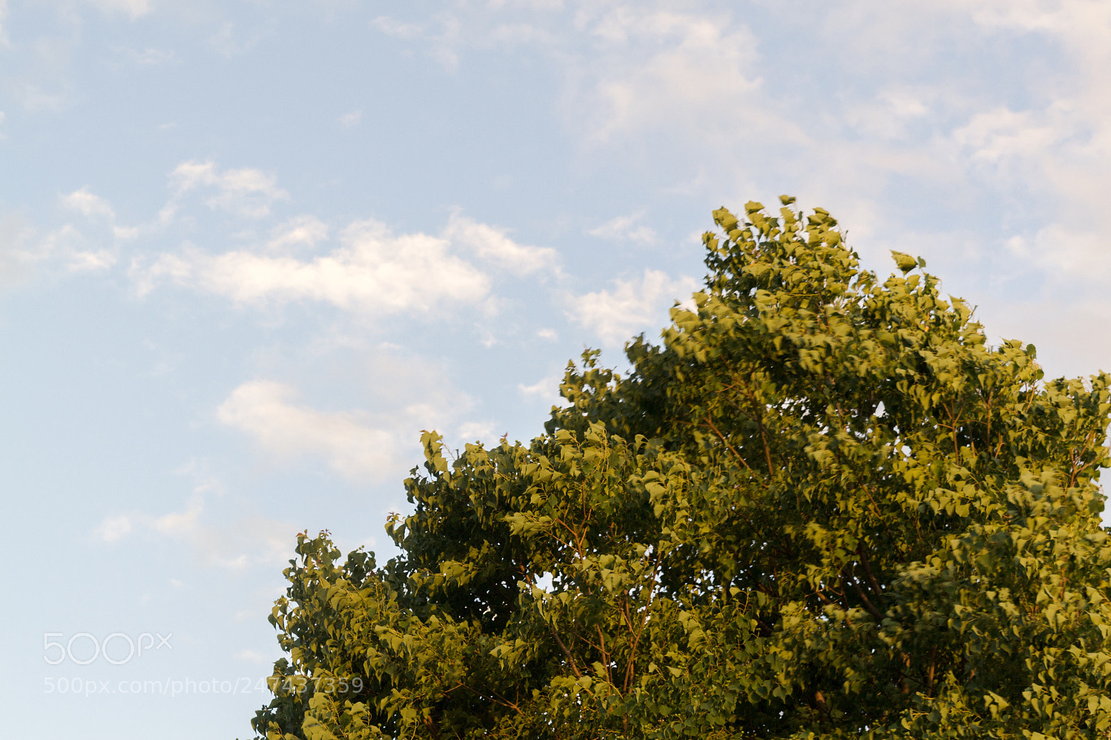 Nikon D3100 sample photo. Nature is special? photography
