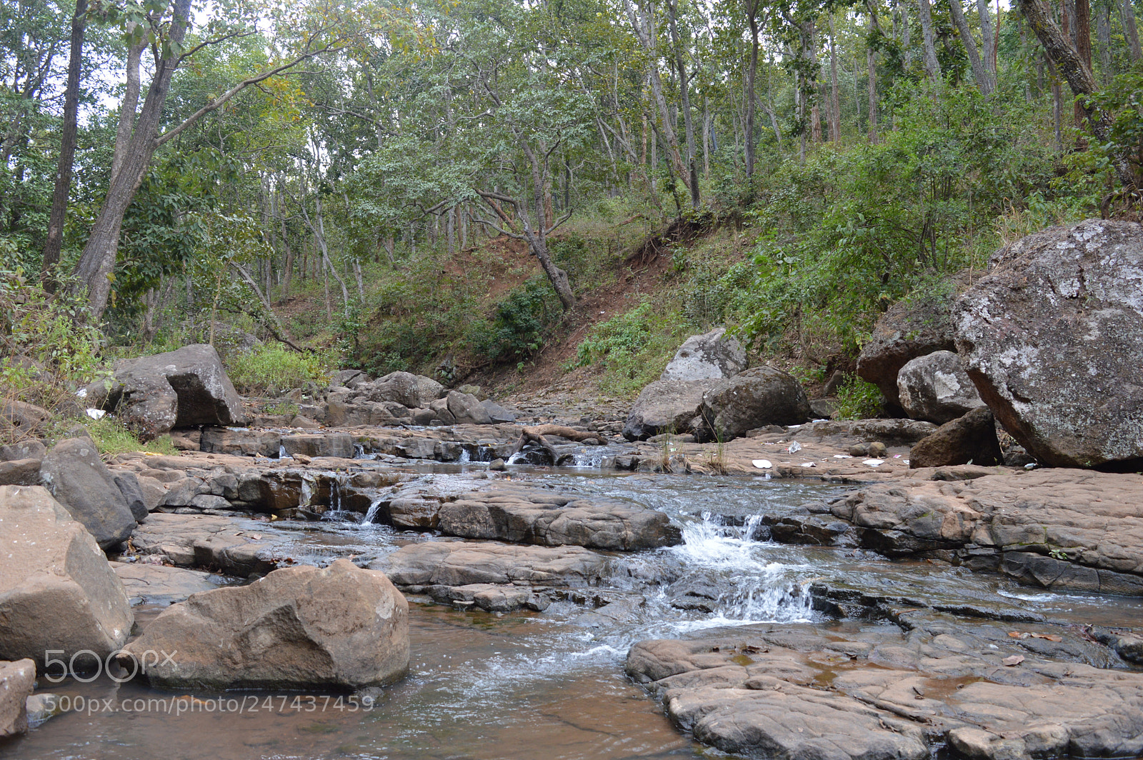 Nikon D3200 sample photo. Untitled photography