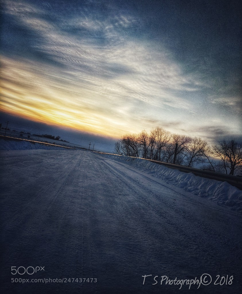 Google Pixel sample photo. Untitled photography