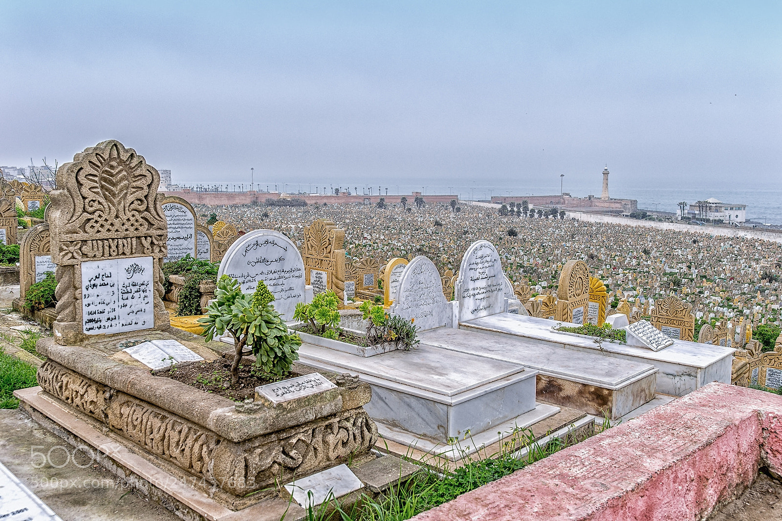 Nikon D3100 sample photo. Muslim cemetery in rabat photography