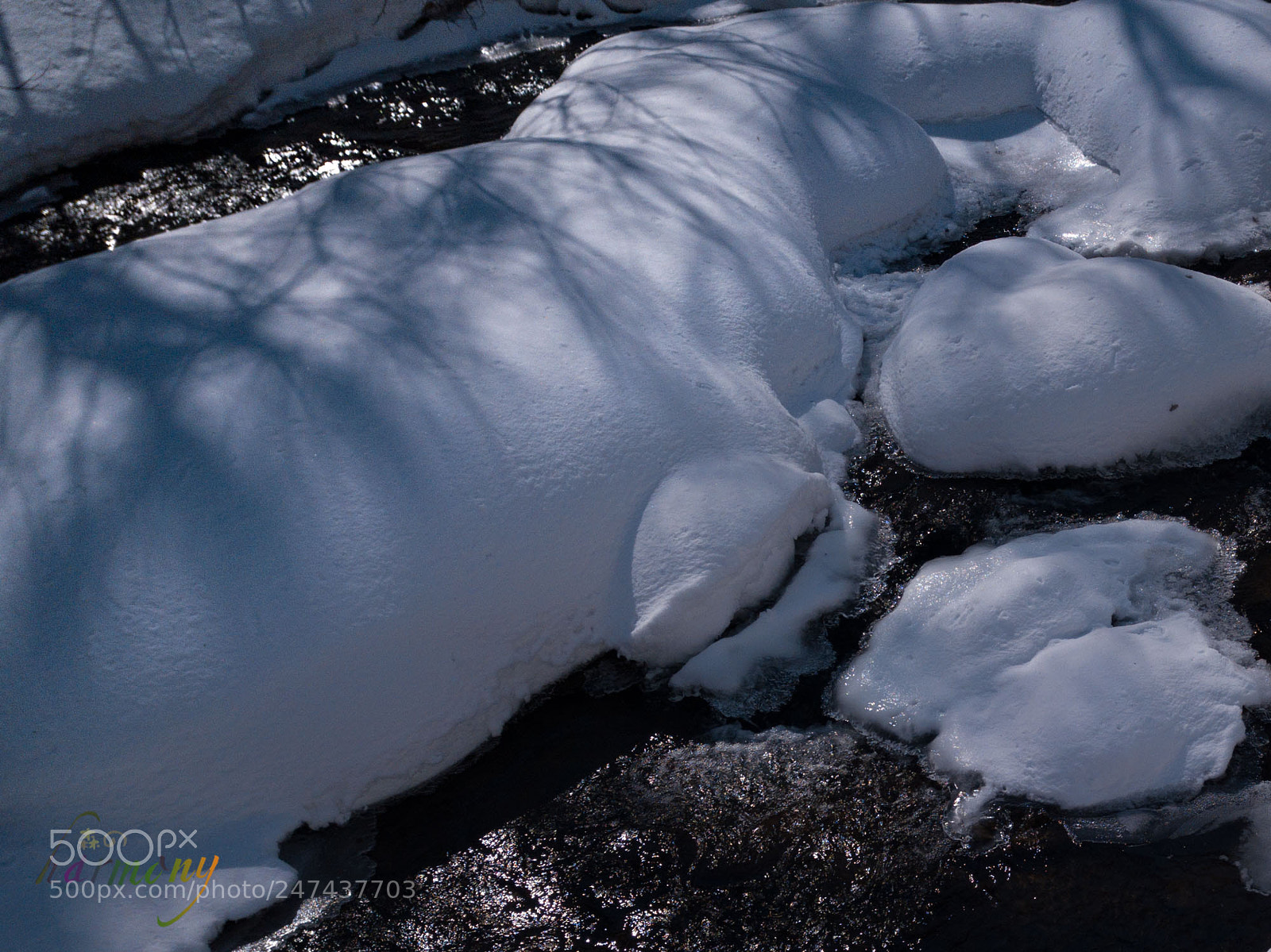 DJI FC220 sample photo. In the river photography