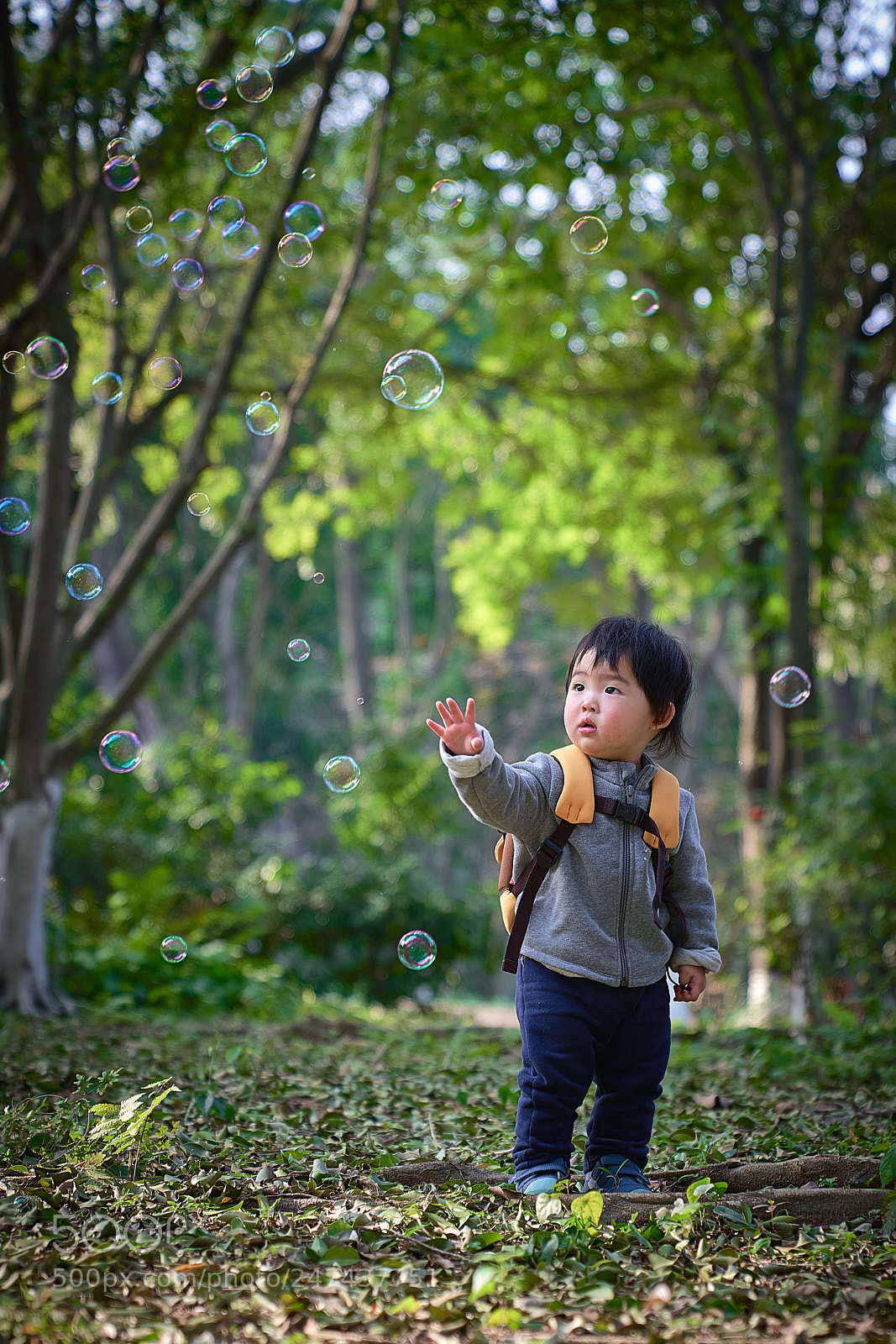 Sony a7R III sample photo. Untitled photography