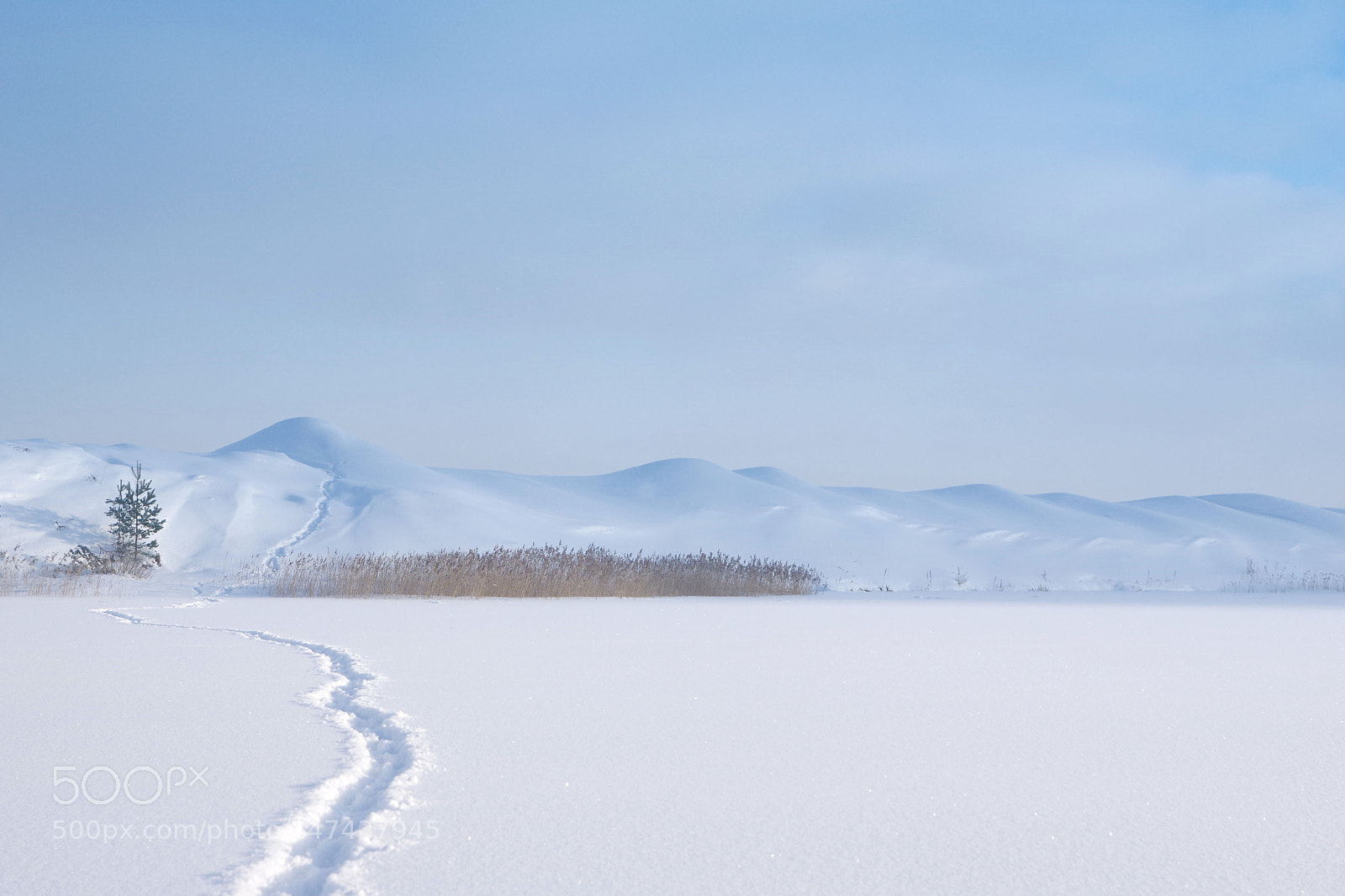 Pentax K-3 sample photo. Winter vii photography
