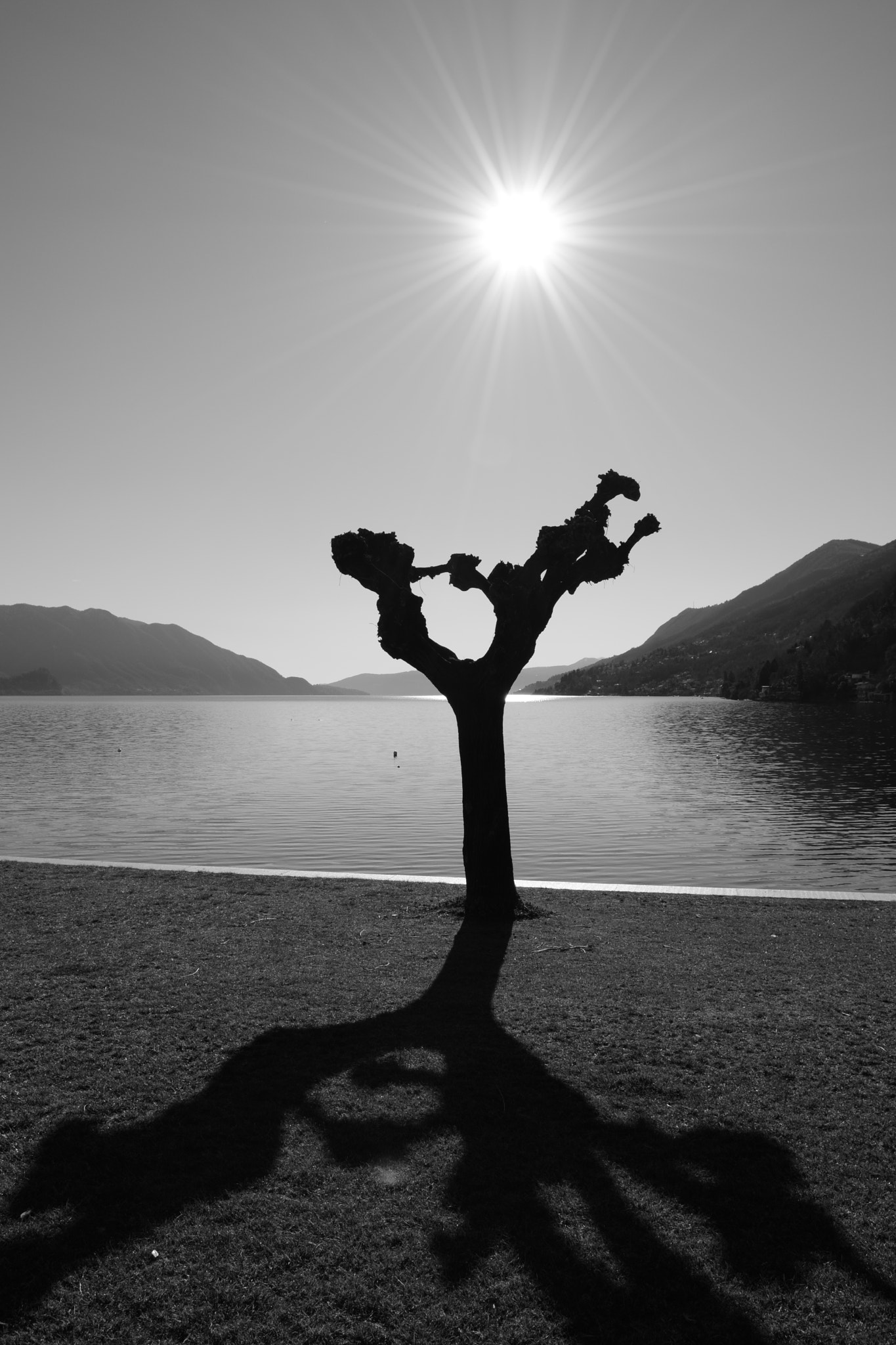 Nikon D5200 sample photo. Light and shadow photography