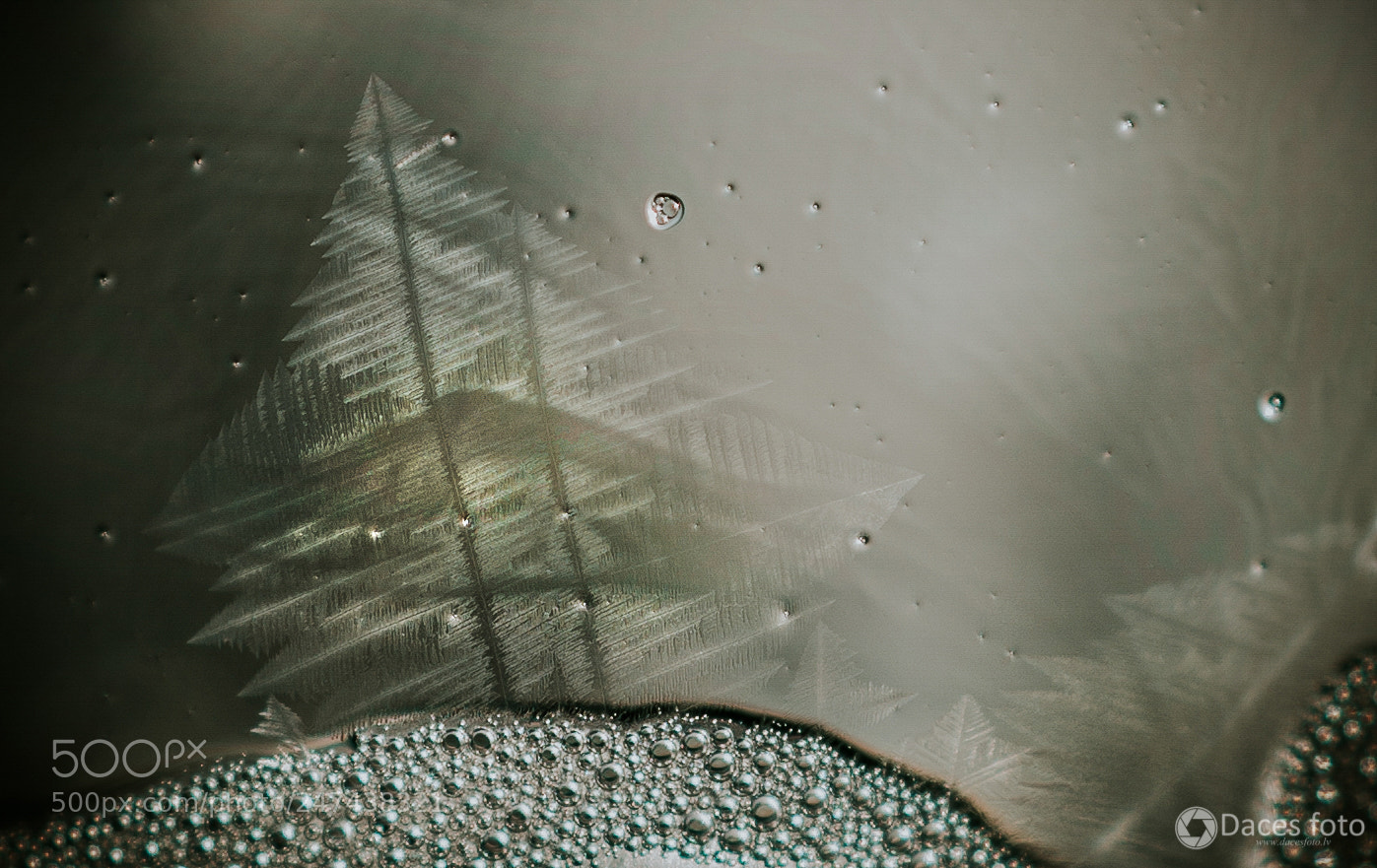 Sony SLT-A99V sample photo. Frozen ,,forest,, :) photography