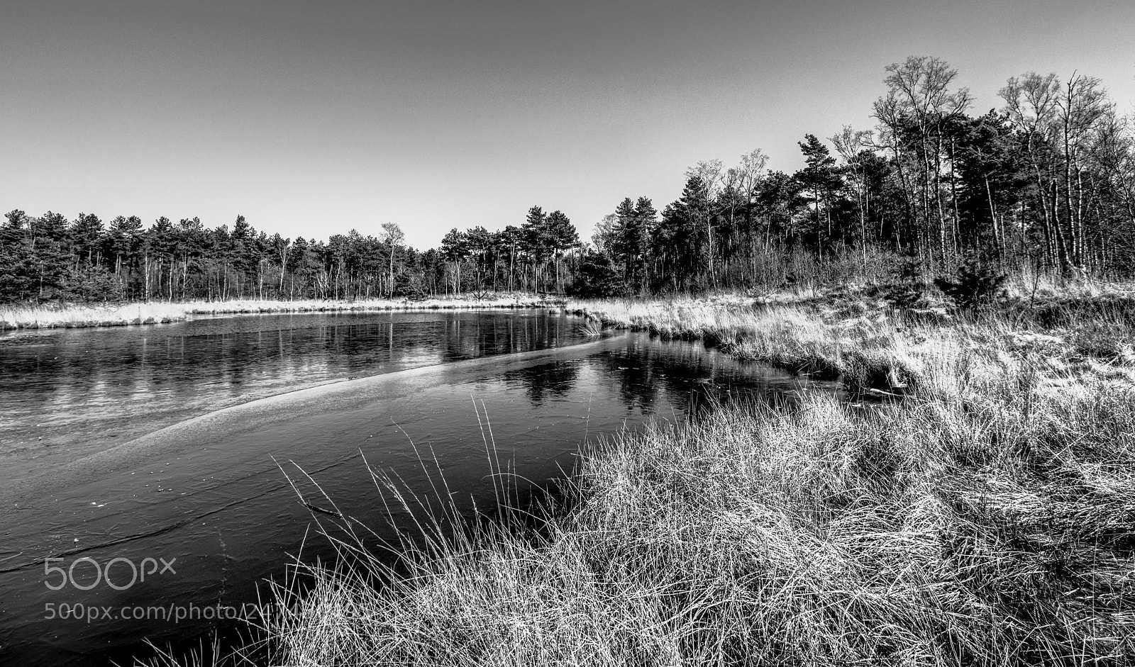 Canon EOS 700D (EOS Rebel T5i / EOS Kiss X7i) sample photo. Kampina oisterwijk photography