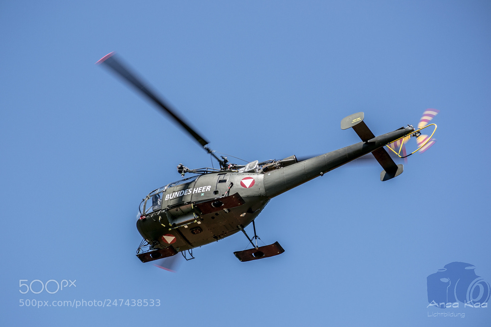 Nikon D3100 sample photo. Alouette adnet photography