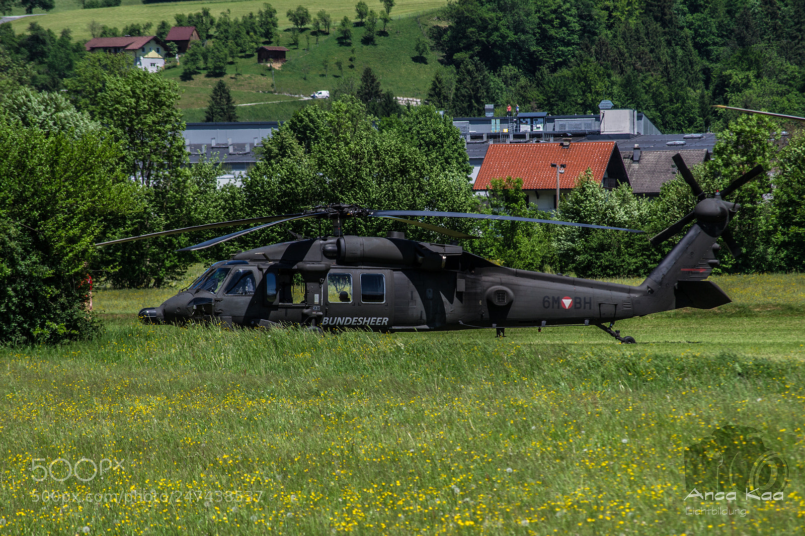 Nikon D3100 sample photo. Black hawk photography