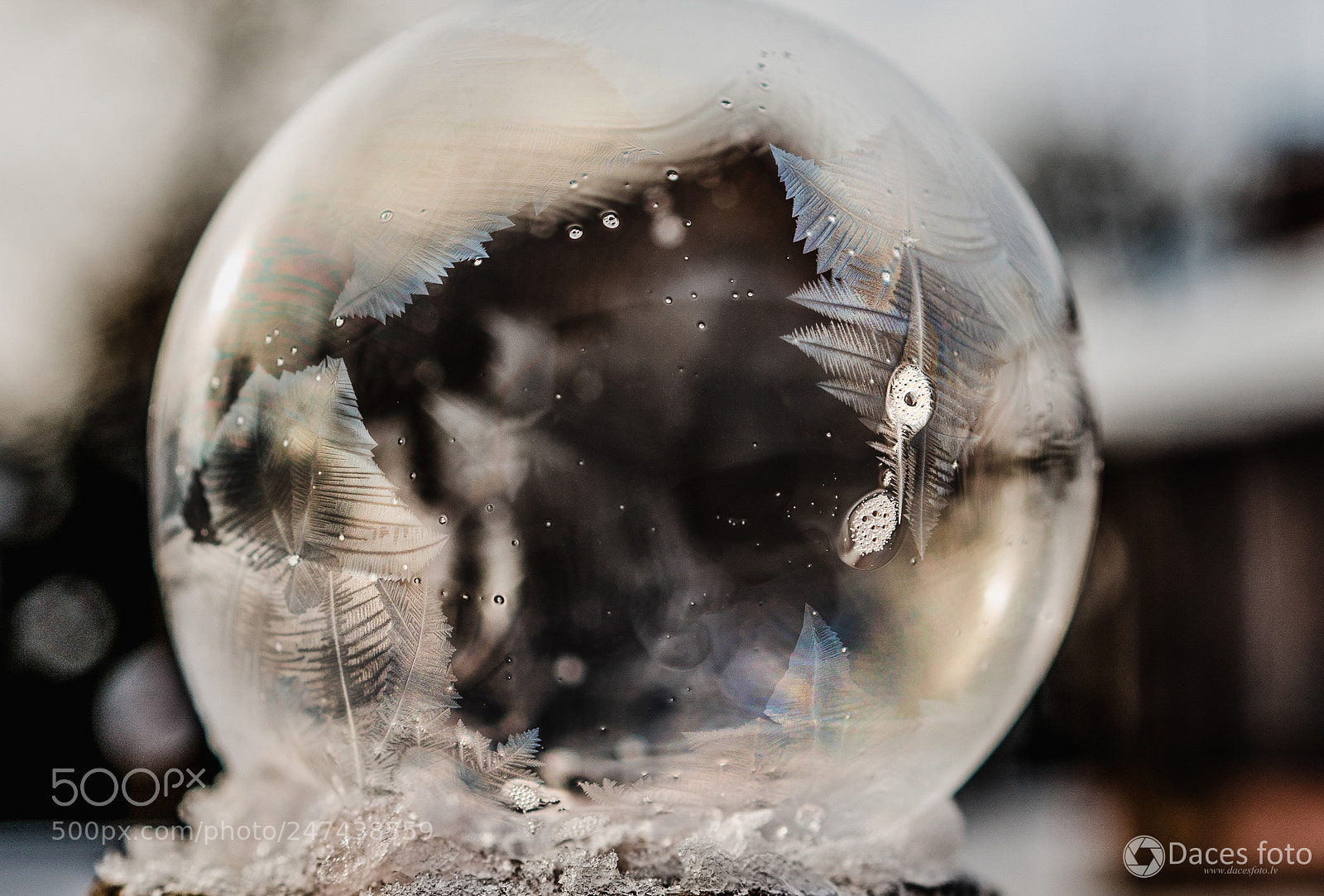 Sony SLT-A99V sample photo. Frozen.... photography