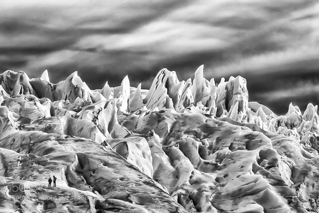 Nikon D800 sample photo. Perito moreno photography