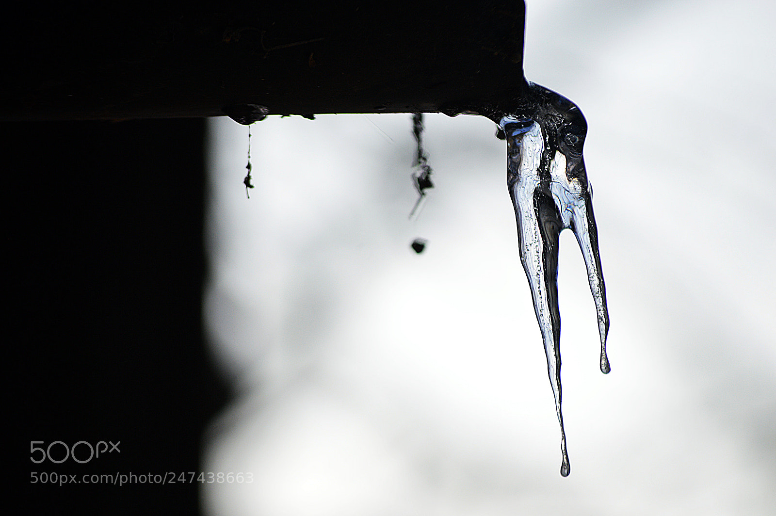 Nikon D3200 sample photo. Frozen photography