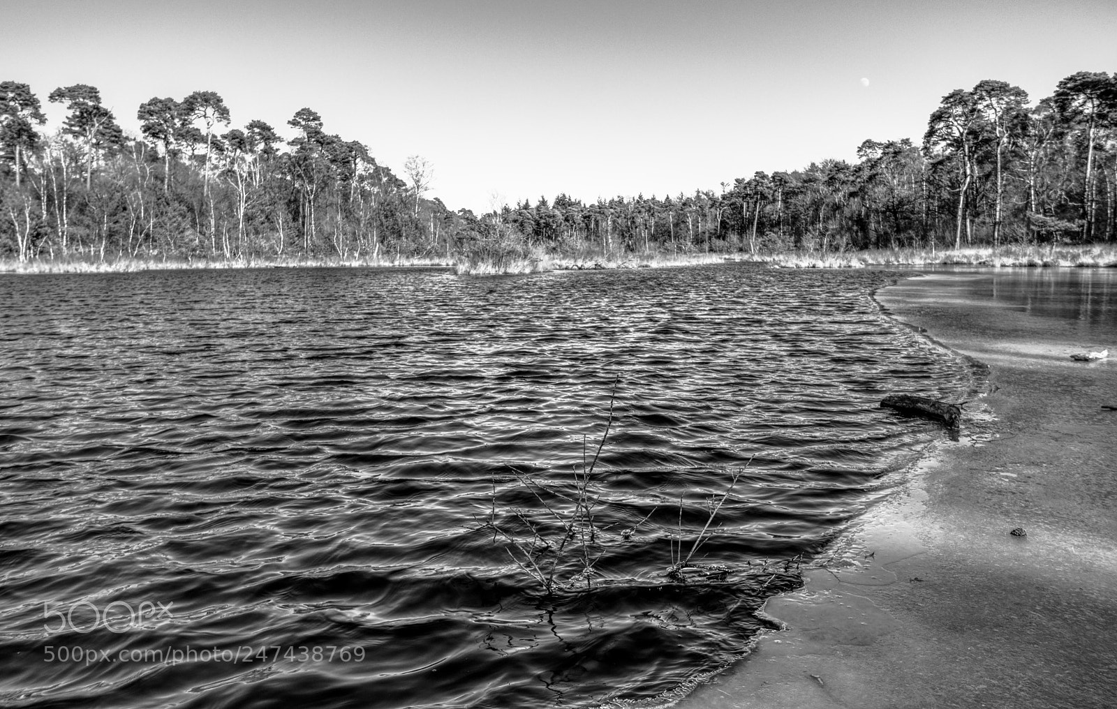 Canon EOS 700D (EOS Rebel T5i / EOS Kiss X7i) sample photo. Kampina oisterwijk photography