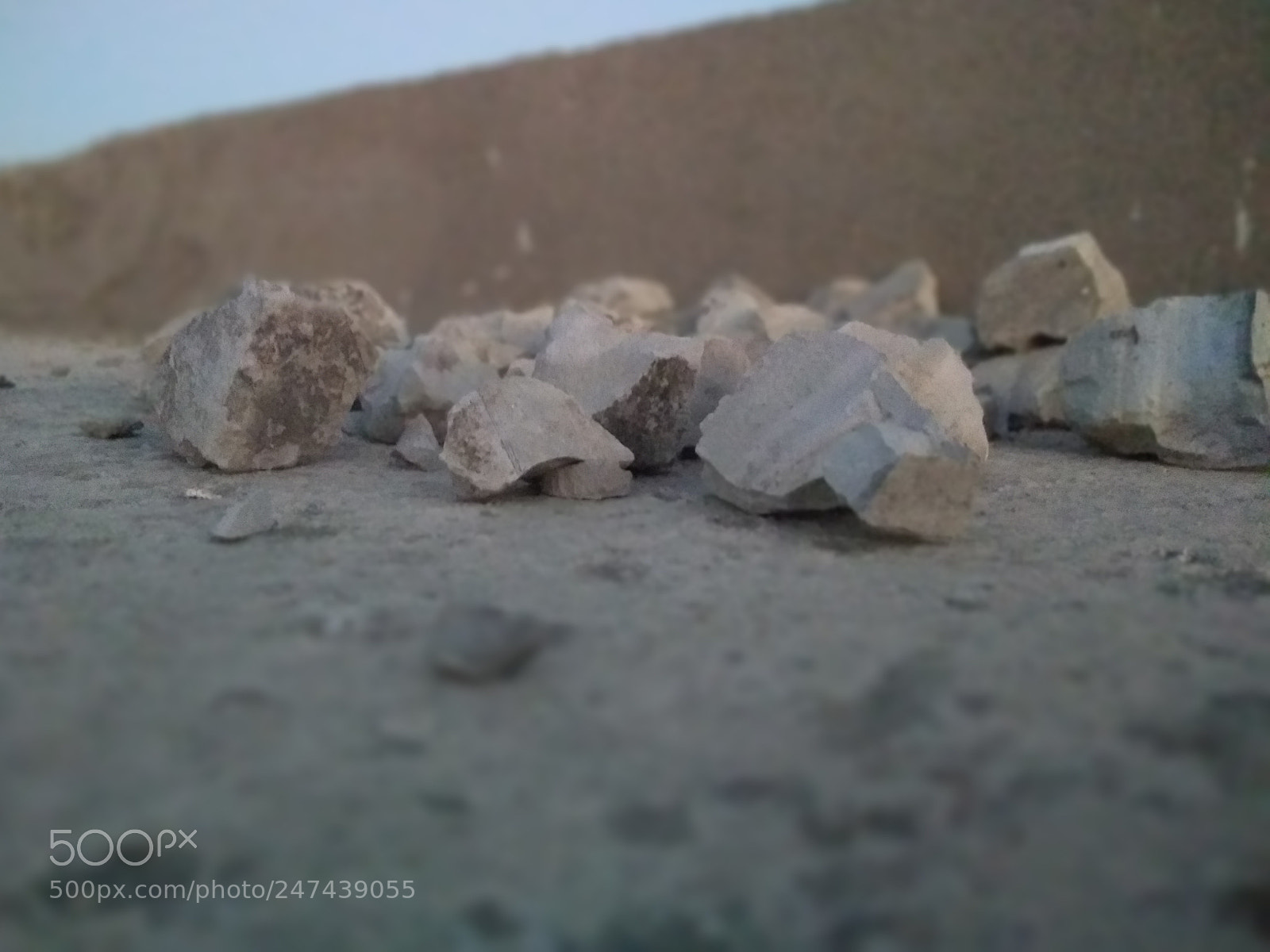 Motorola Moto G (5S) Plus sample photo. Untitled photography
