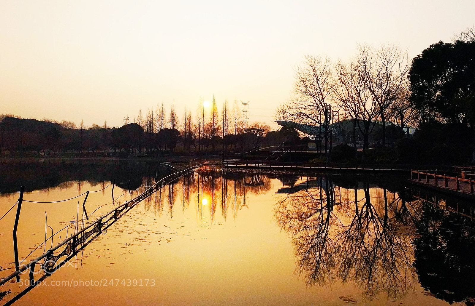 Xiaomi MIX 2 sample photo. Sunrise of garden photography