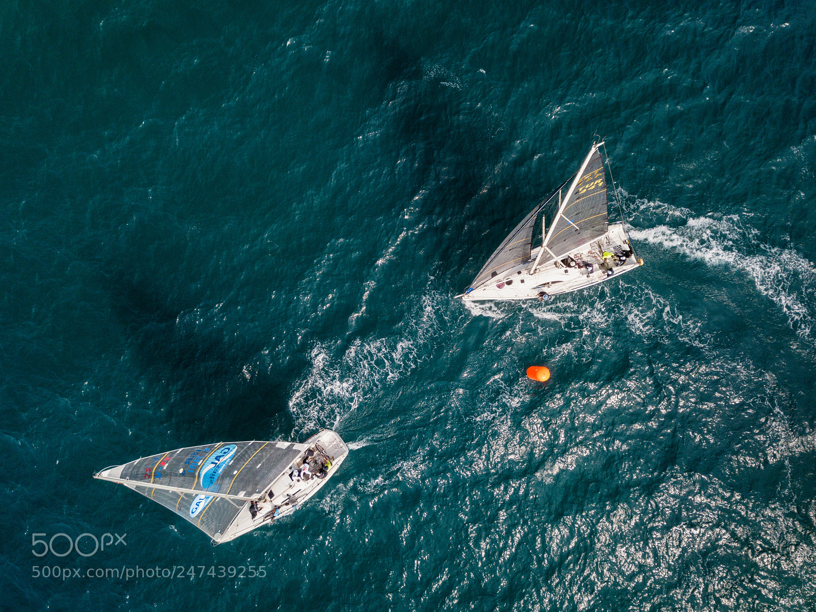DJI FC220 sample photo. Aerial regatta photography