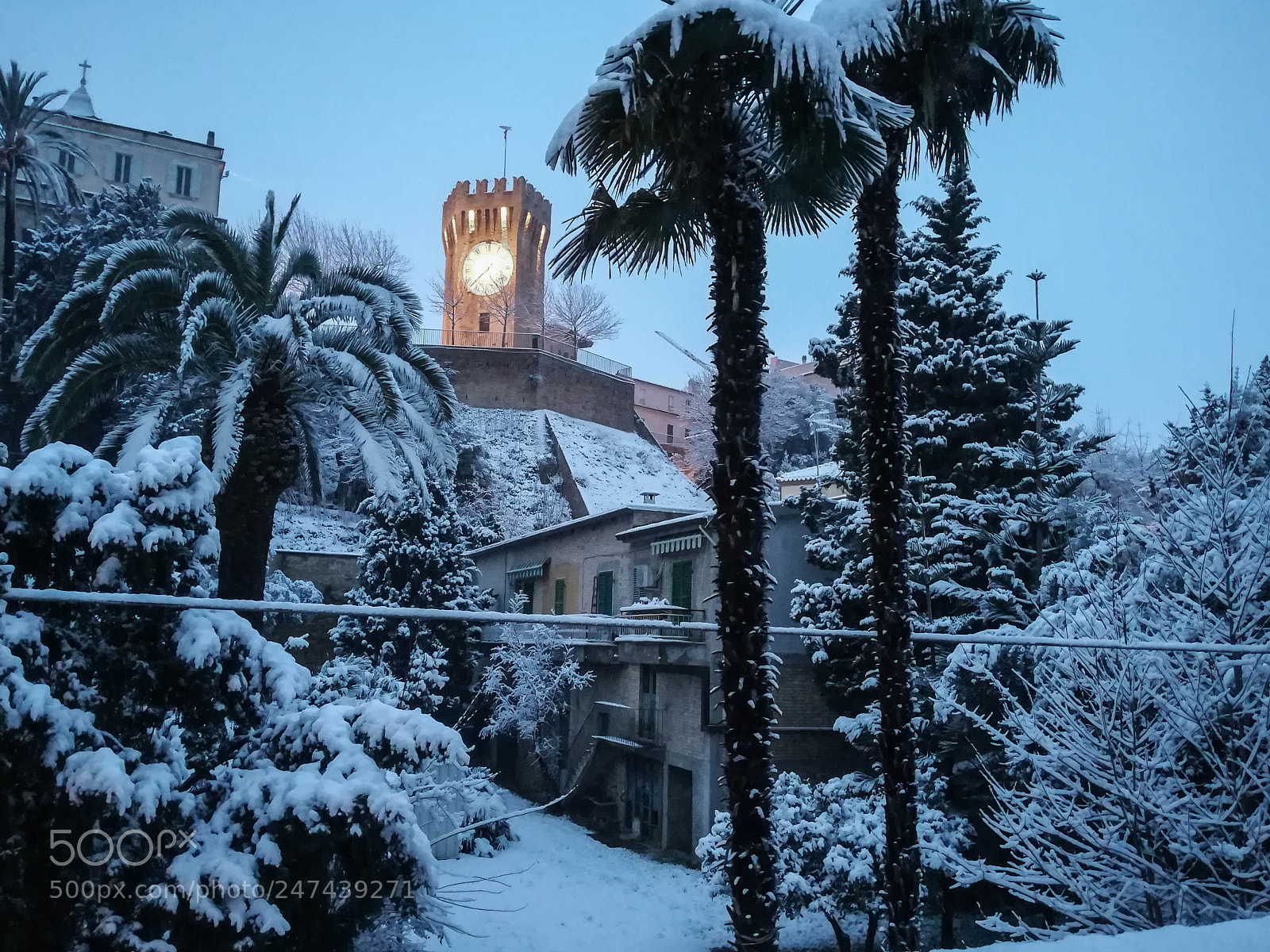 HUAWEI PRA-LX1 sample photo. E' arrivata photography