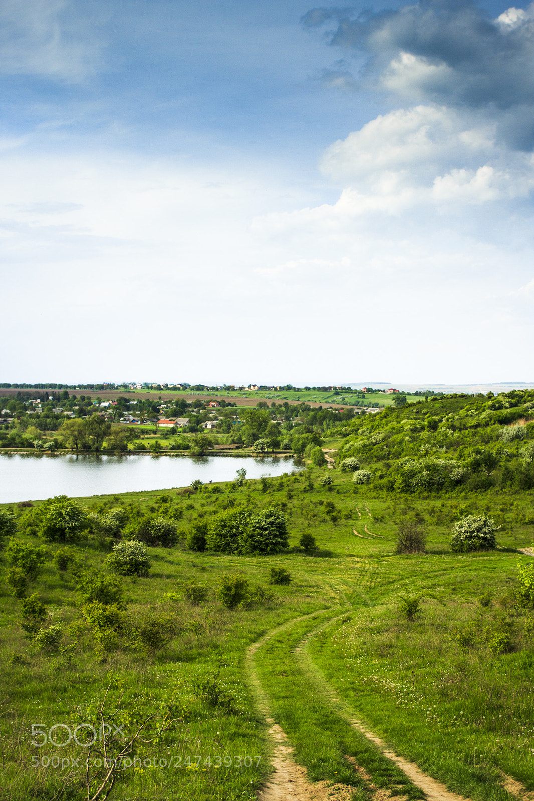 Canon EOS 60D sample photo. Green sky photography