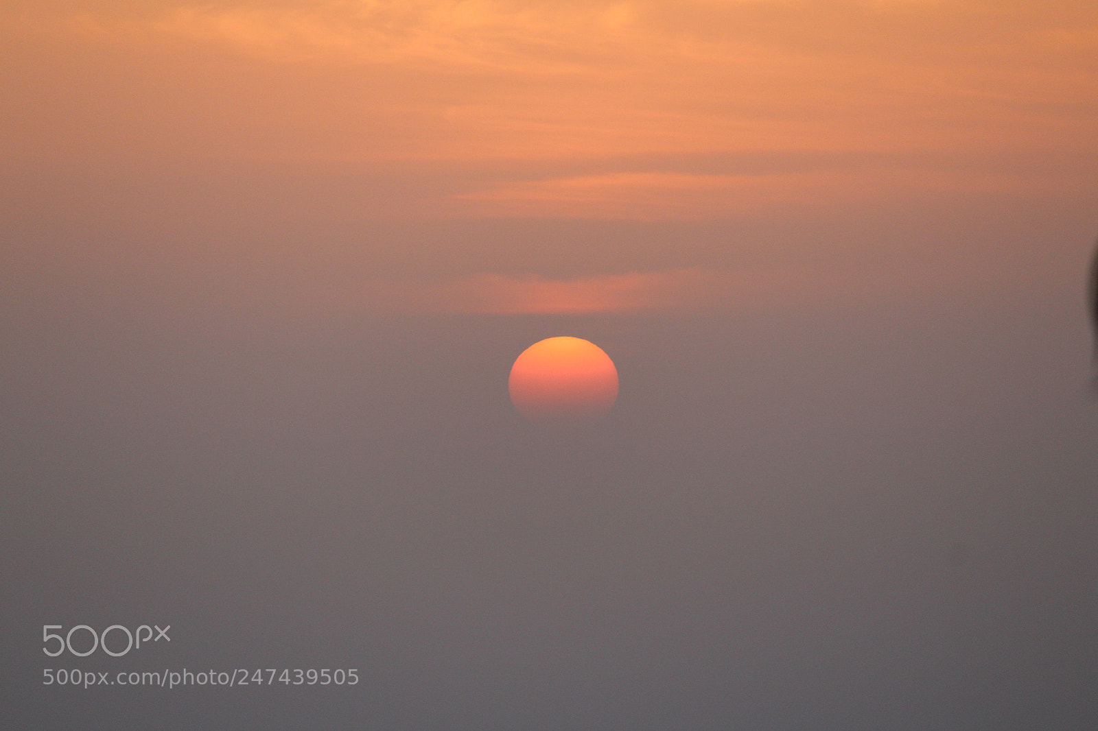 Canon EF-S 55-250mm F4-5.6 IS II sample photo. Untitled photography
