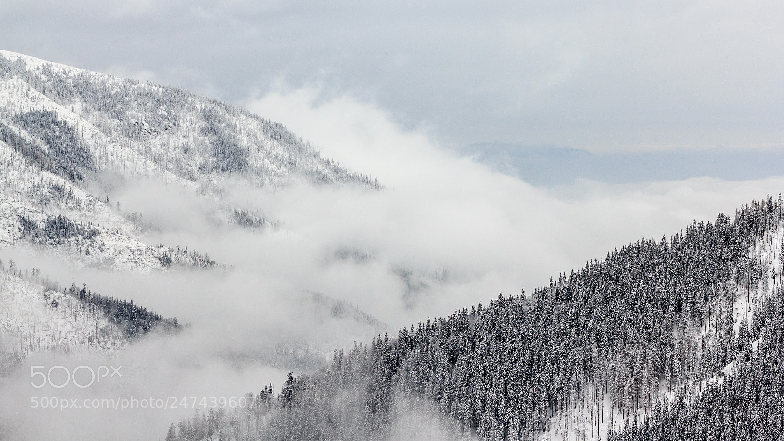 Canon EOS 550D (EOS Rebel T2i / EOS Kiss X4) sample photo. Low tatras photography