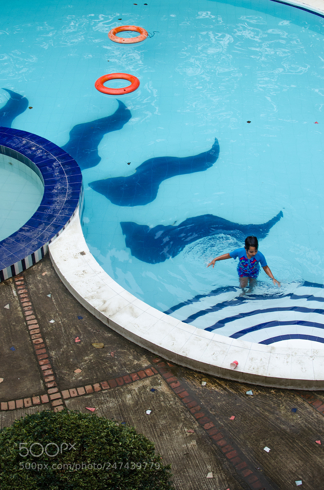 Nikon D5100 sample photo. Swimming pool photography