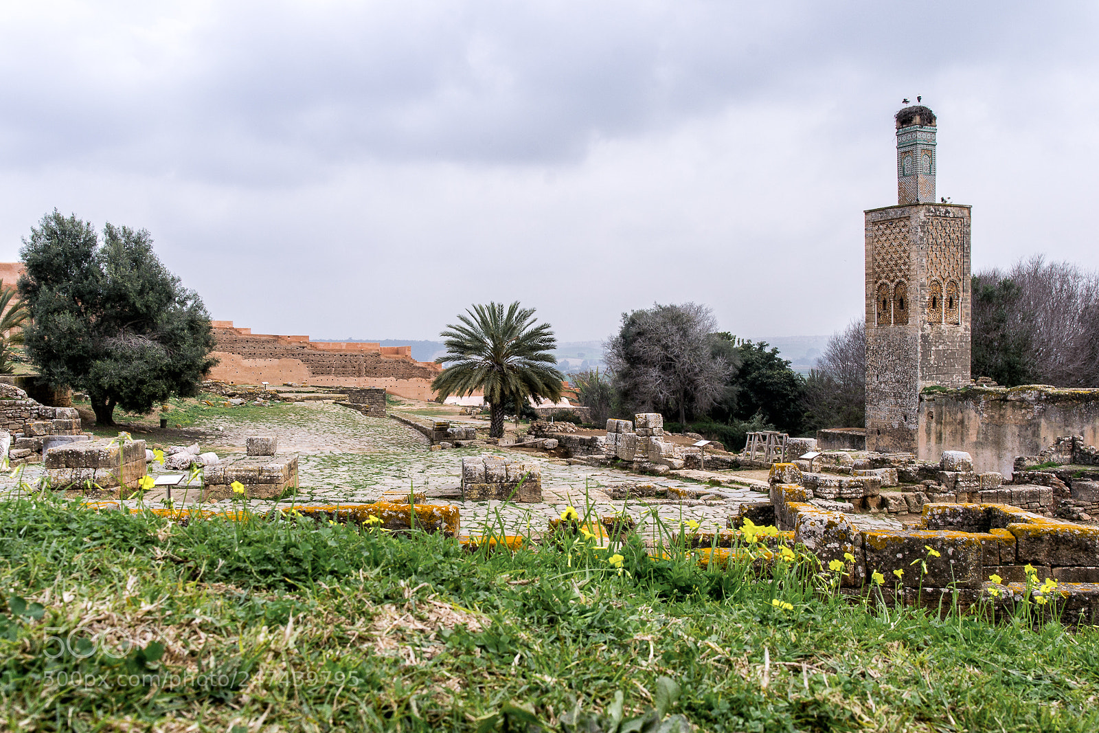Nikon D3100 sample photo. Chellah in rabat photography