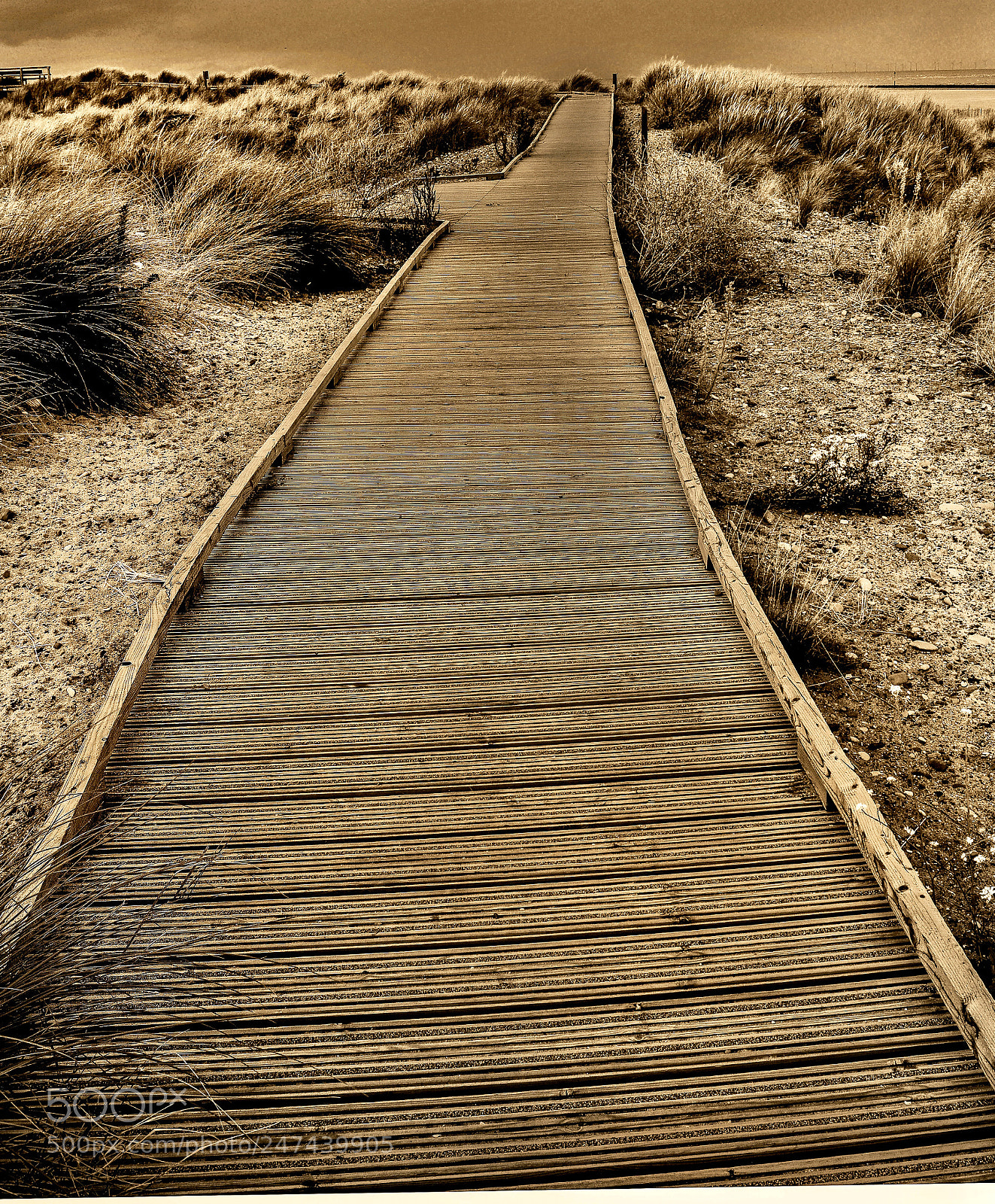 Nikon D5200 sample photo. Path through the dunes photography