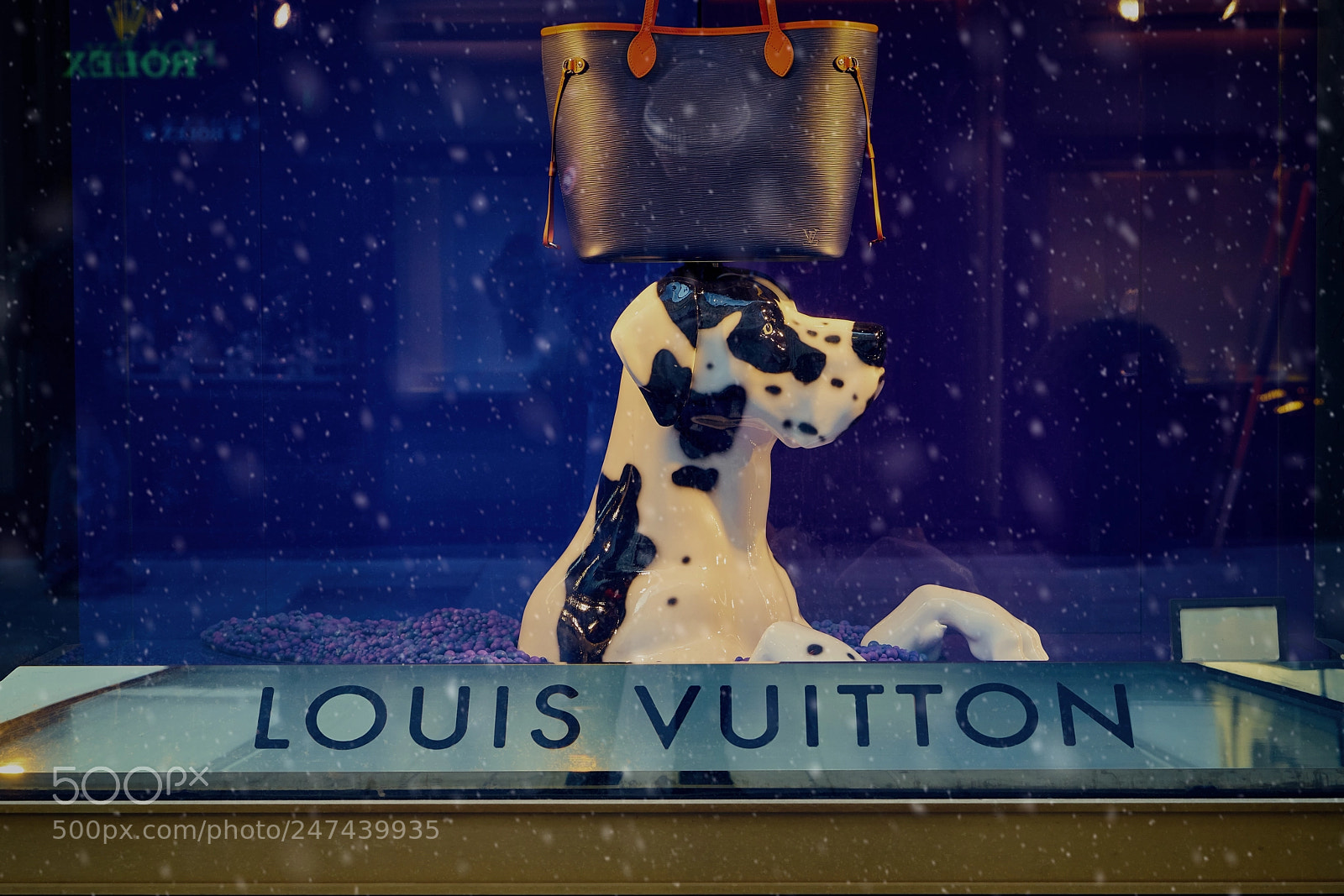 Sony a7R II sample photo. 2018_02_22 photography