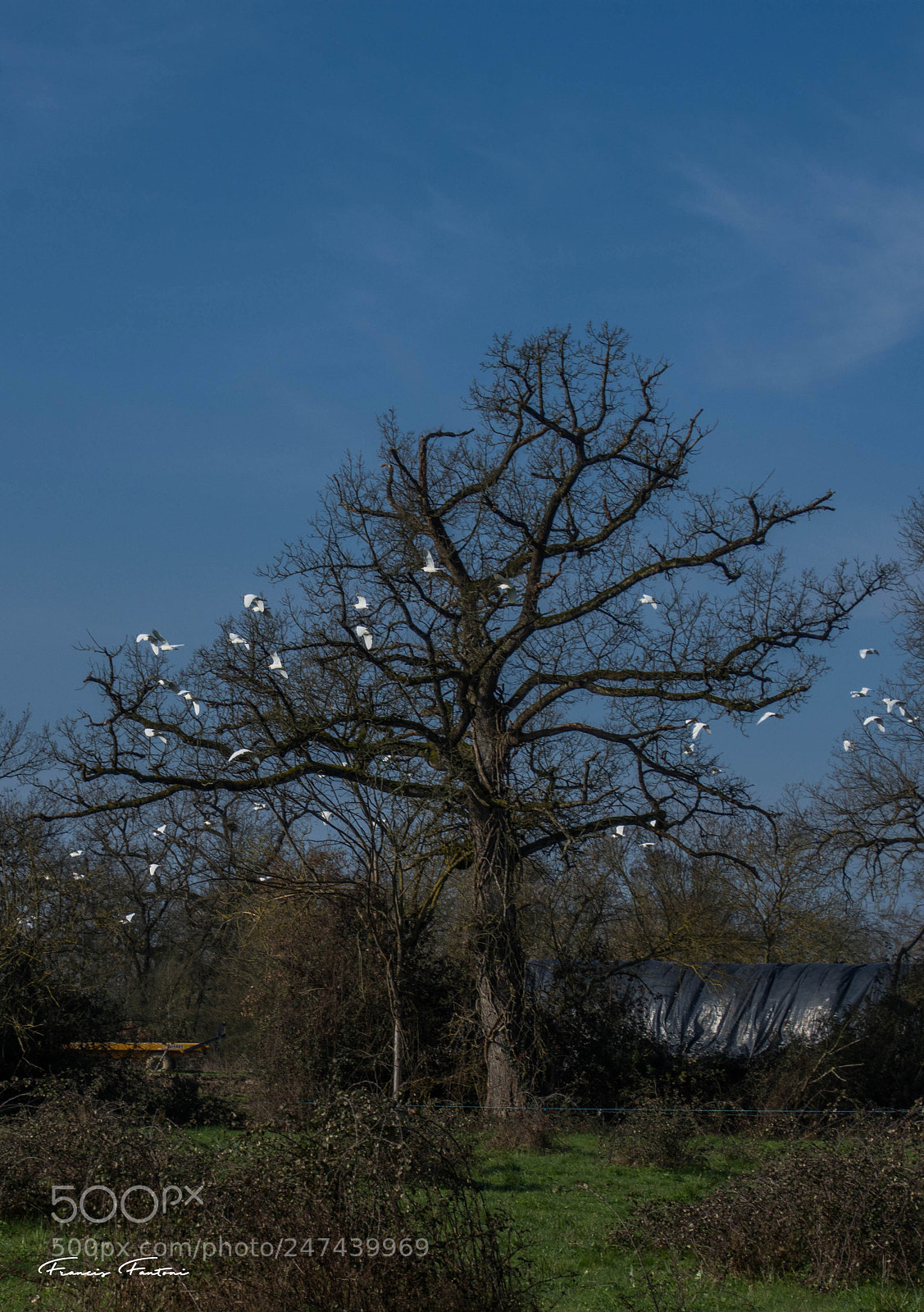 Nikon D7200 sample photo. Envol e de garde photography