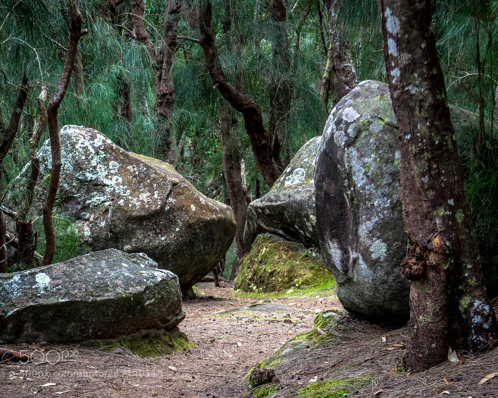 Nikon D750 sample photo. Boulders on the trail photography