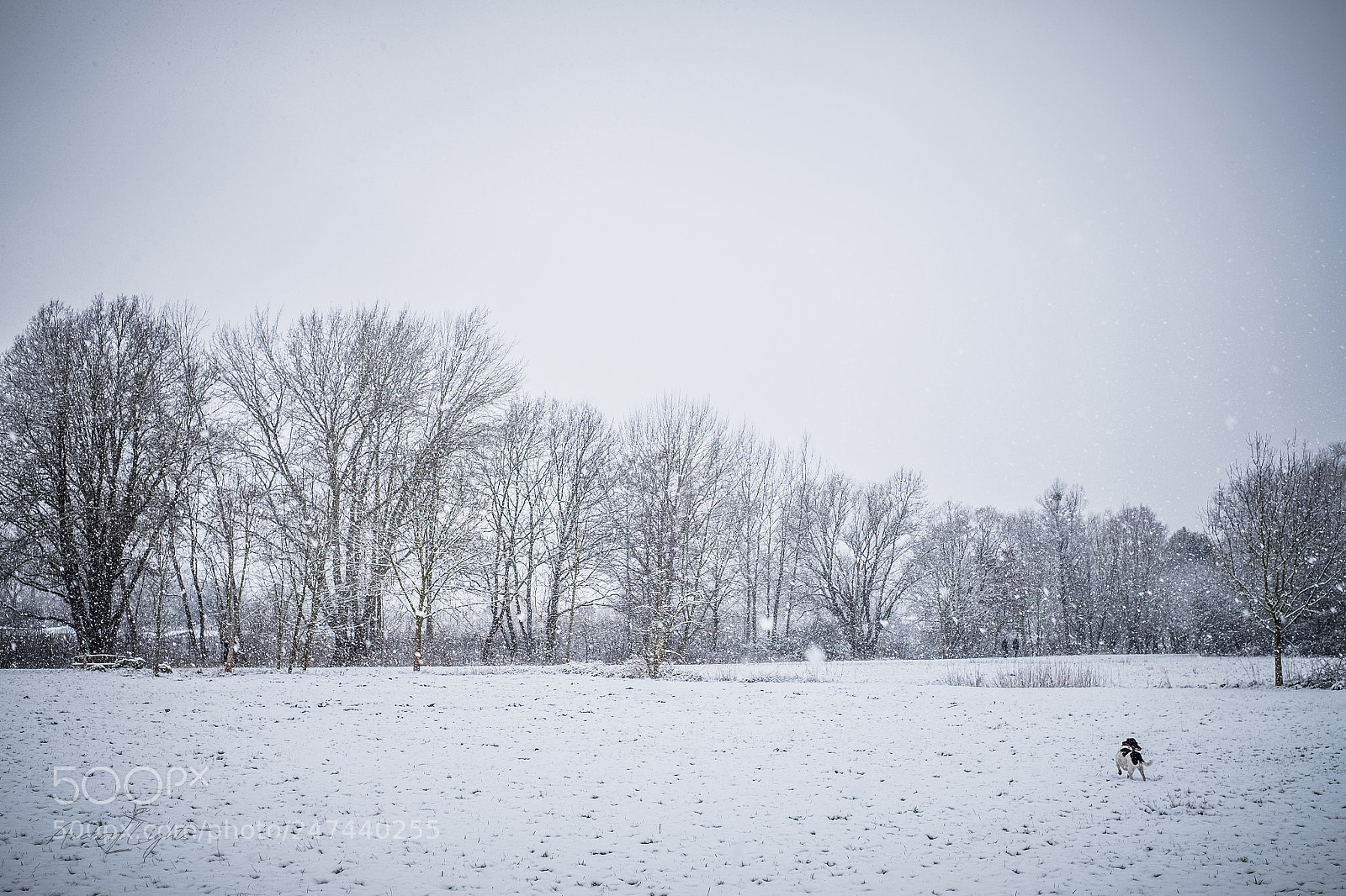 Fujifilm X-T10 sample photo. Breath photography