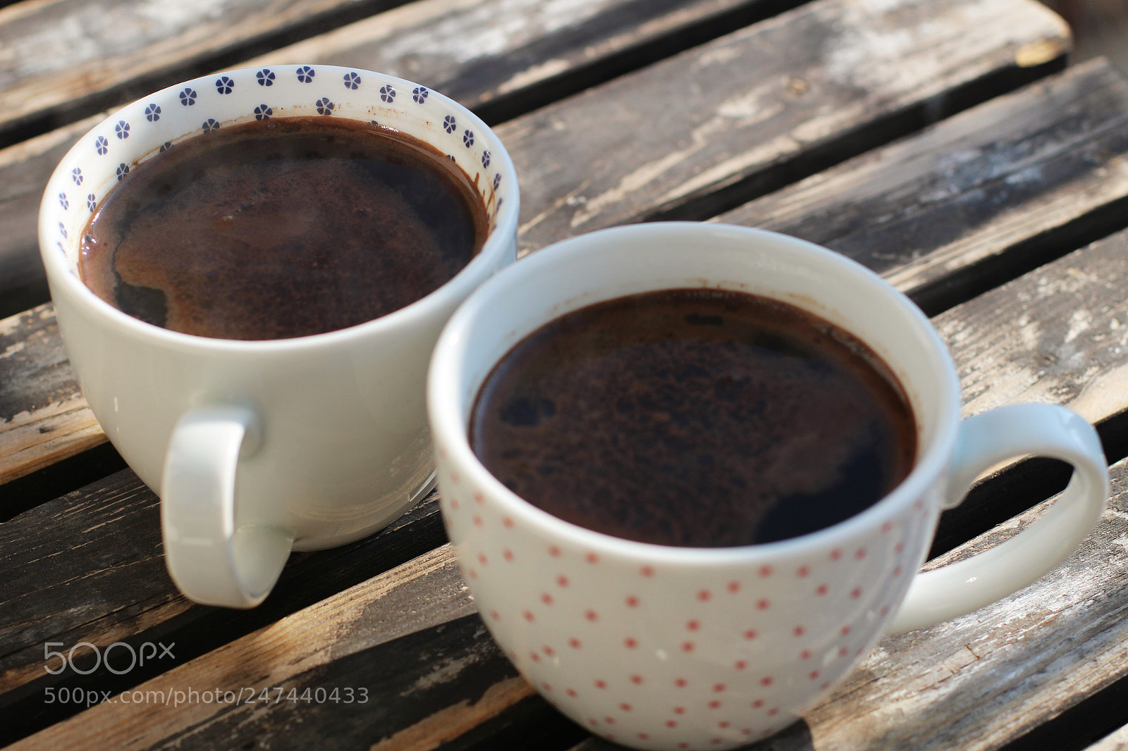 Canon EOS 100D (EOS Rebel SL1 / EOS Kiss X7) sample photo. Morning peace photography